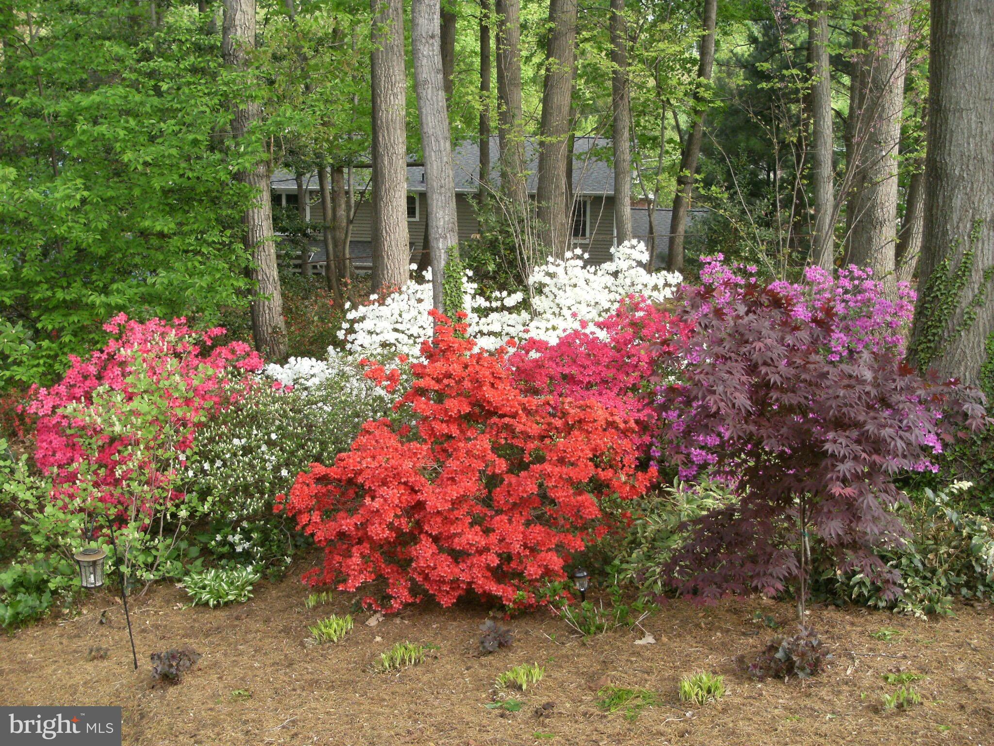 OLDE FORGE - Residential