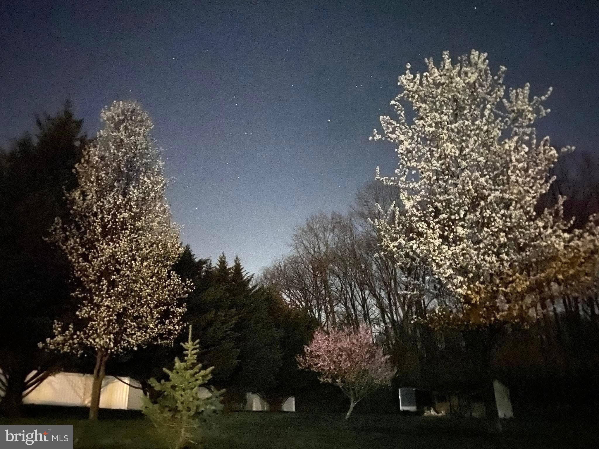 ROCK RUN ESTATES - Residential