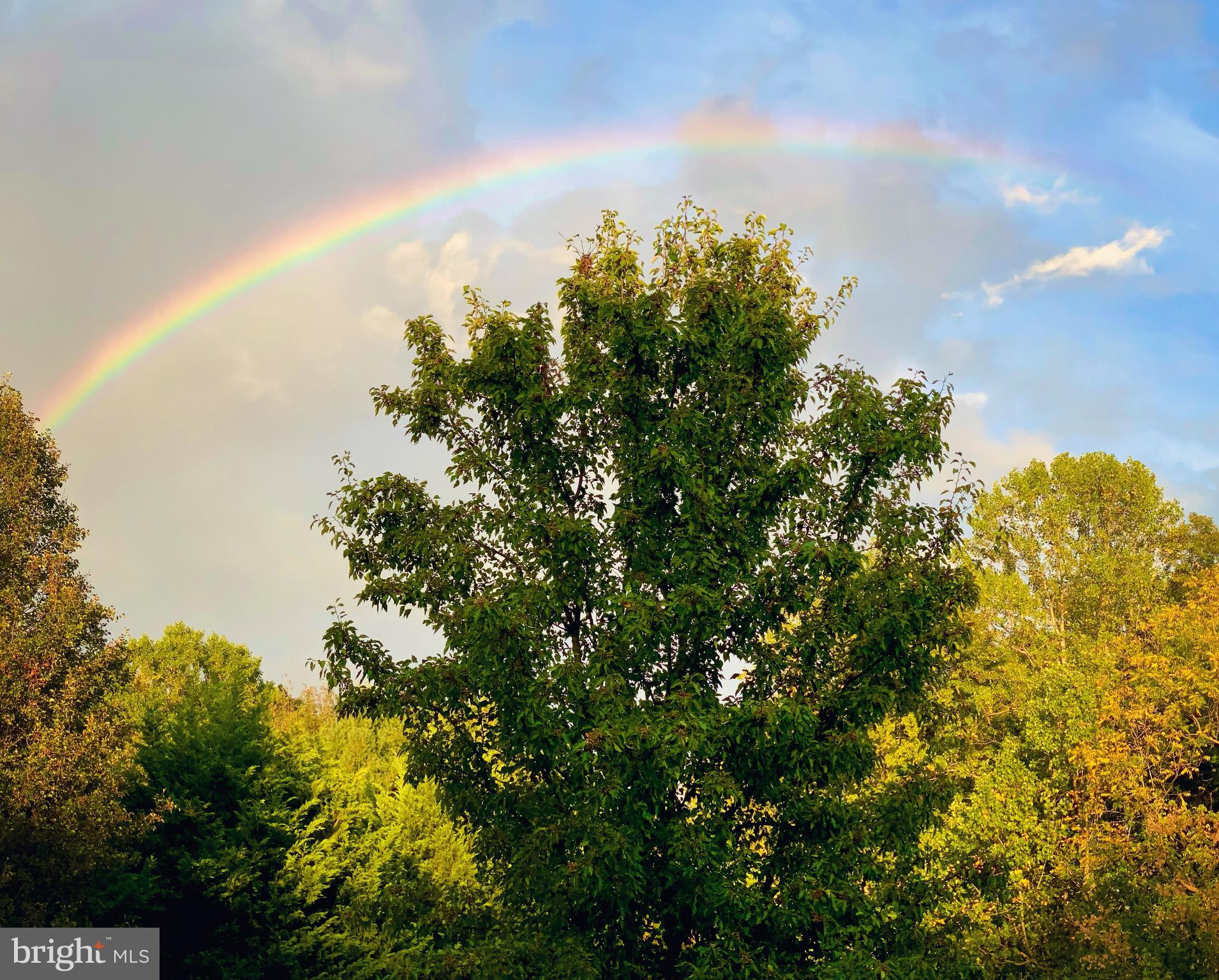 ROCK RUN ESTATES - Residential