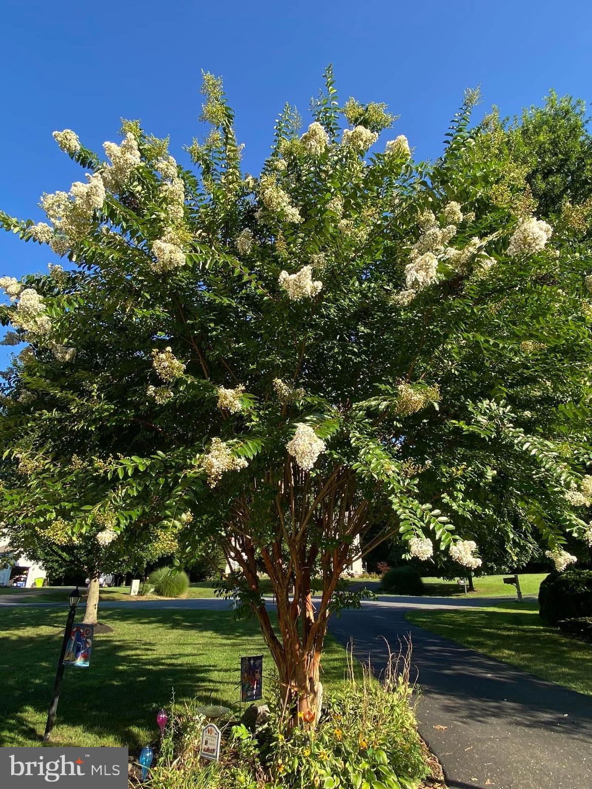 ROCK RUN ESTATES - Residential