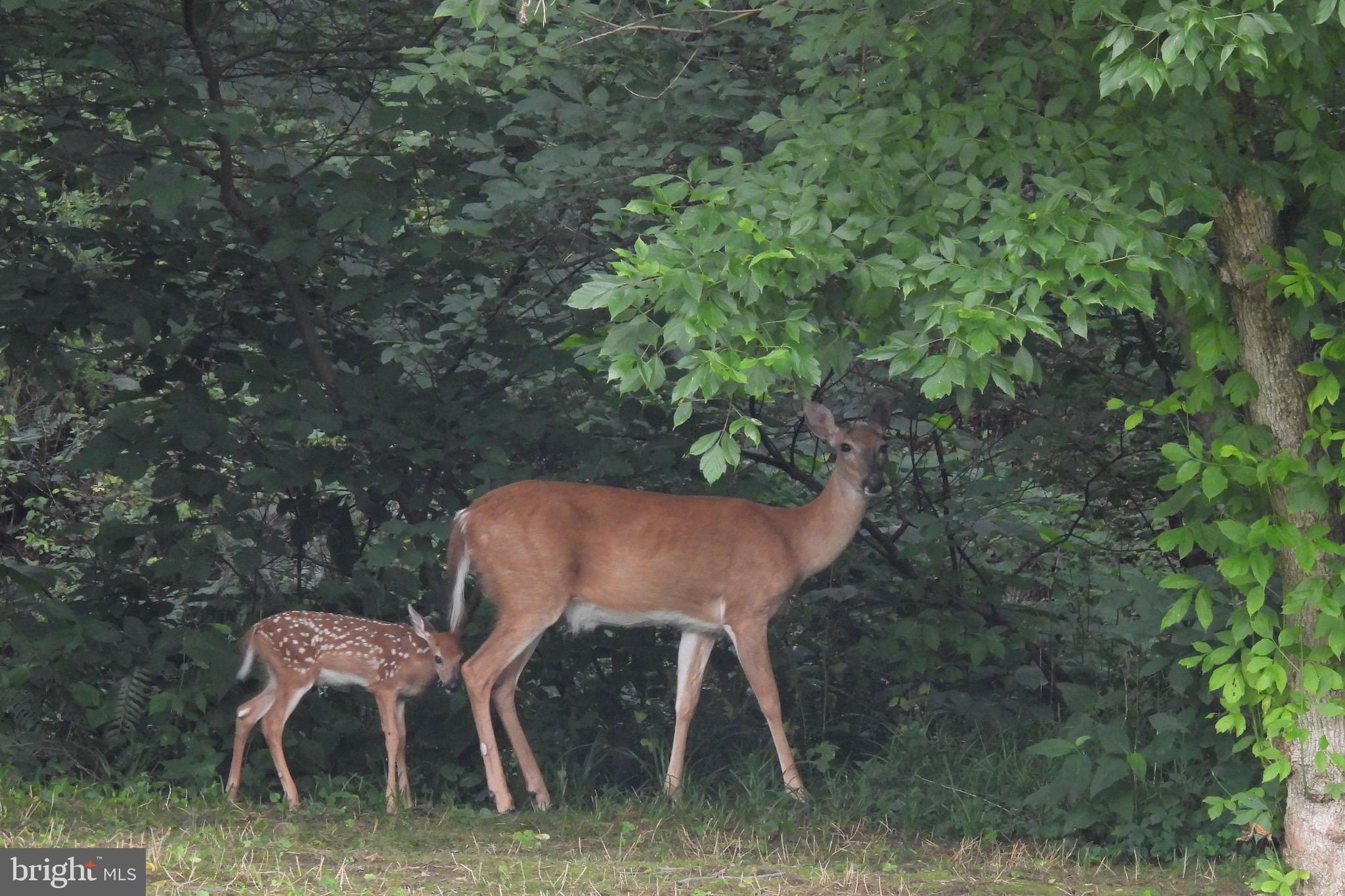 ROCK RUN ESTATES - Residential