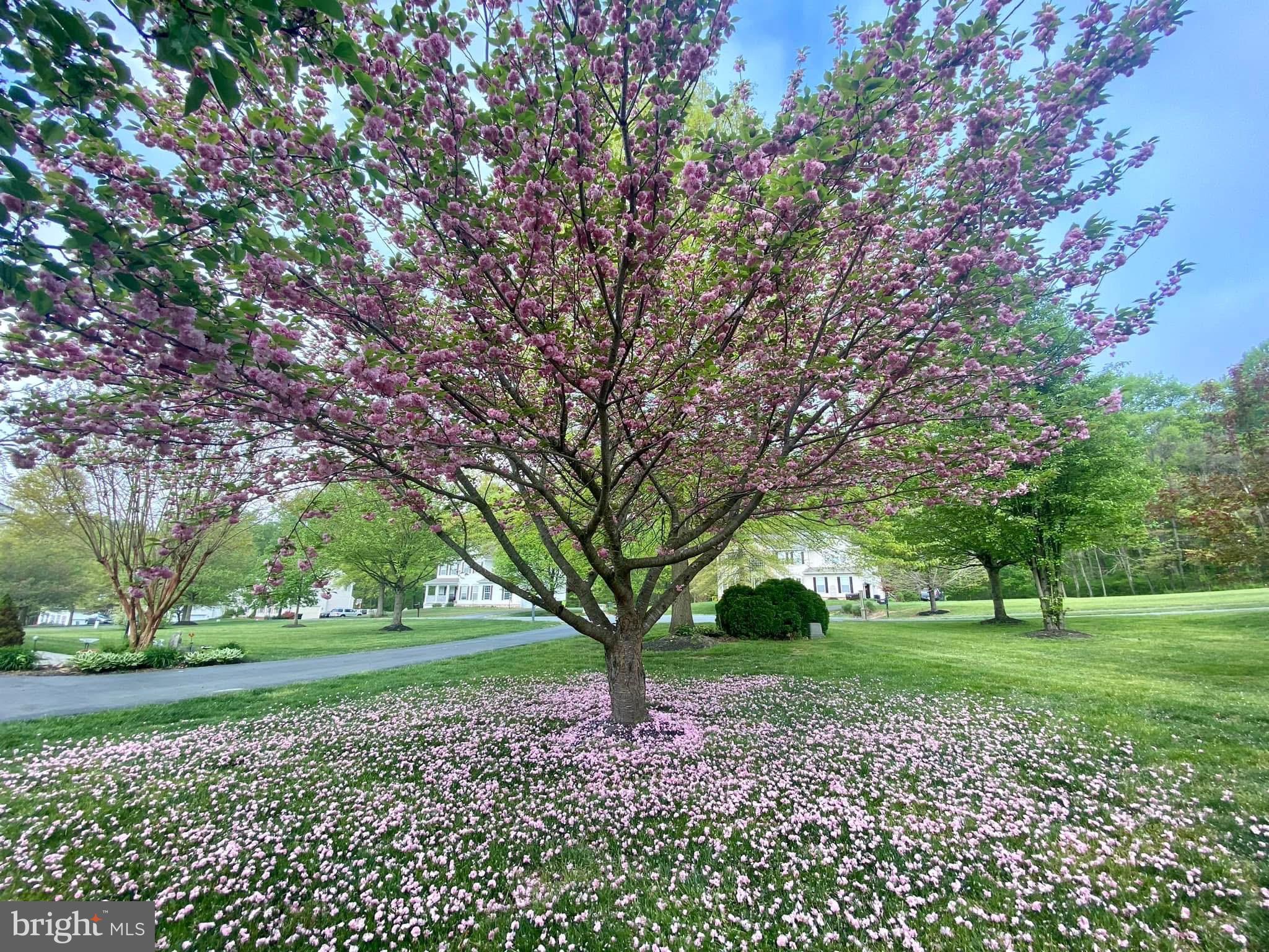 ROCK RUN ESTATES - Residential