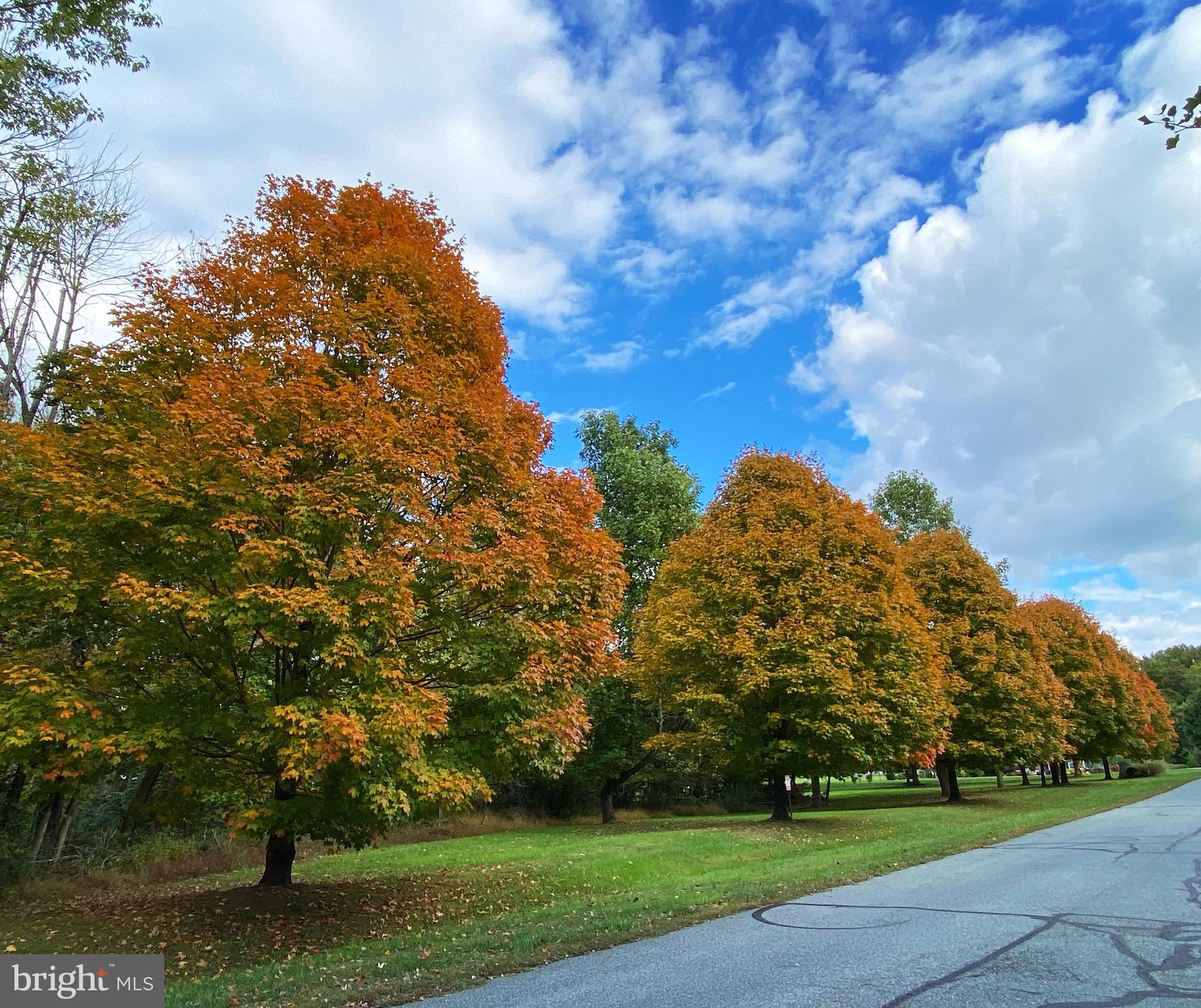 ROCK RUN ESTATES - Residential