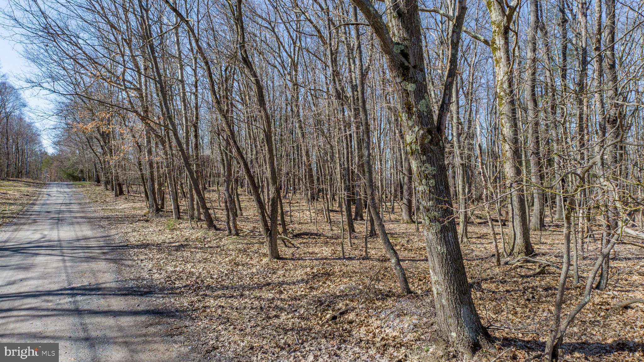 ROMAN NOSE SPA - Residential