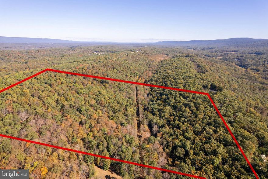 Outstanding Opportunity – 17.80 Acres in Winchester, VA
Embrace the beauty and serenity of Virginia’s countryside with this expansive 17.80-acre parcel, ideally boarder's both sides of Snake Drive. The property showcases rolling topography and walkable terrain, offering a picturesque setting for your future home, weekend retreat, or recreational getaway.

This parcel has an approved perk for a 3-bedroom alternative system, with design already completed & approved, this provides a strong foundation for residential construction. Enjoy the peaceful rural surroundings with the benefit of no HOA / Restrictions.

Bring your plans and envision the possibilities—whether building your dream home, creating a private retreat, enjoying outdoor recreation, or holding as an investment, this one is ready to go!

*Additional details and supporting documents are available in the listing documents section* *Possible subdivision potential—buyer to verify with county*  *stream runs through on right-hand side*