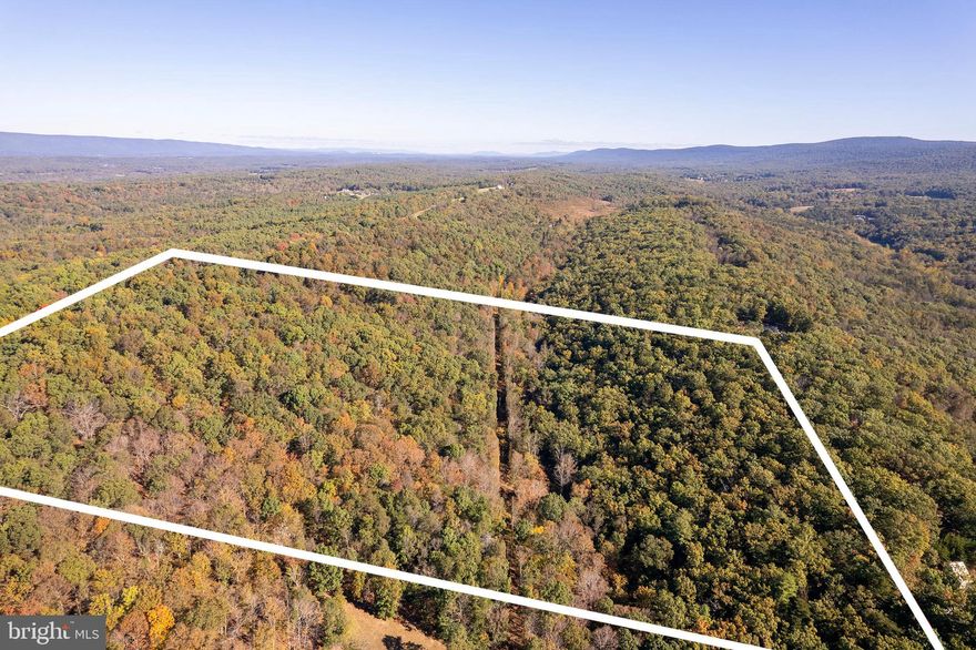 Outstanding Opportunity – 17.80 Acres in Winchester, VA
Embrace the beauty and serenity of Virginia’s countryside with this expansive 17.80-acre parcel, ideally boarder's both sides of Snake Drive. The property showcases rolling topography and walkable terrain, offering a picturesque setting for your future home, weekend retreat, or recreational getaway.

This parcel has an approved perk for a 3-bedroom alternative system, with design already completed & approved, this provides a strong foundation for residential construction. Enjoy the peaceful rural surroundings with the benefit of no HOA / Restrictions.

Bring your plans and envision the possibilities—whether building your dream home, creating a private retreat, enjoying outdoor recreation, or holding as an investment, this one is ready to go!

*Additional details and supporting documents are available in the listing documents section* *Possible subdivision potential—buyer to verify with county*  *stream runs through on right-hand side*