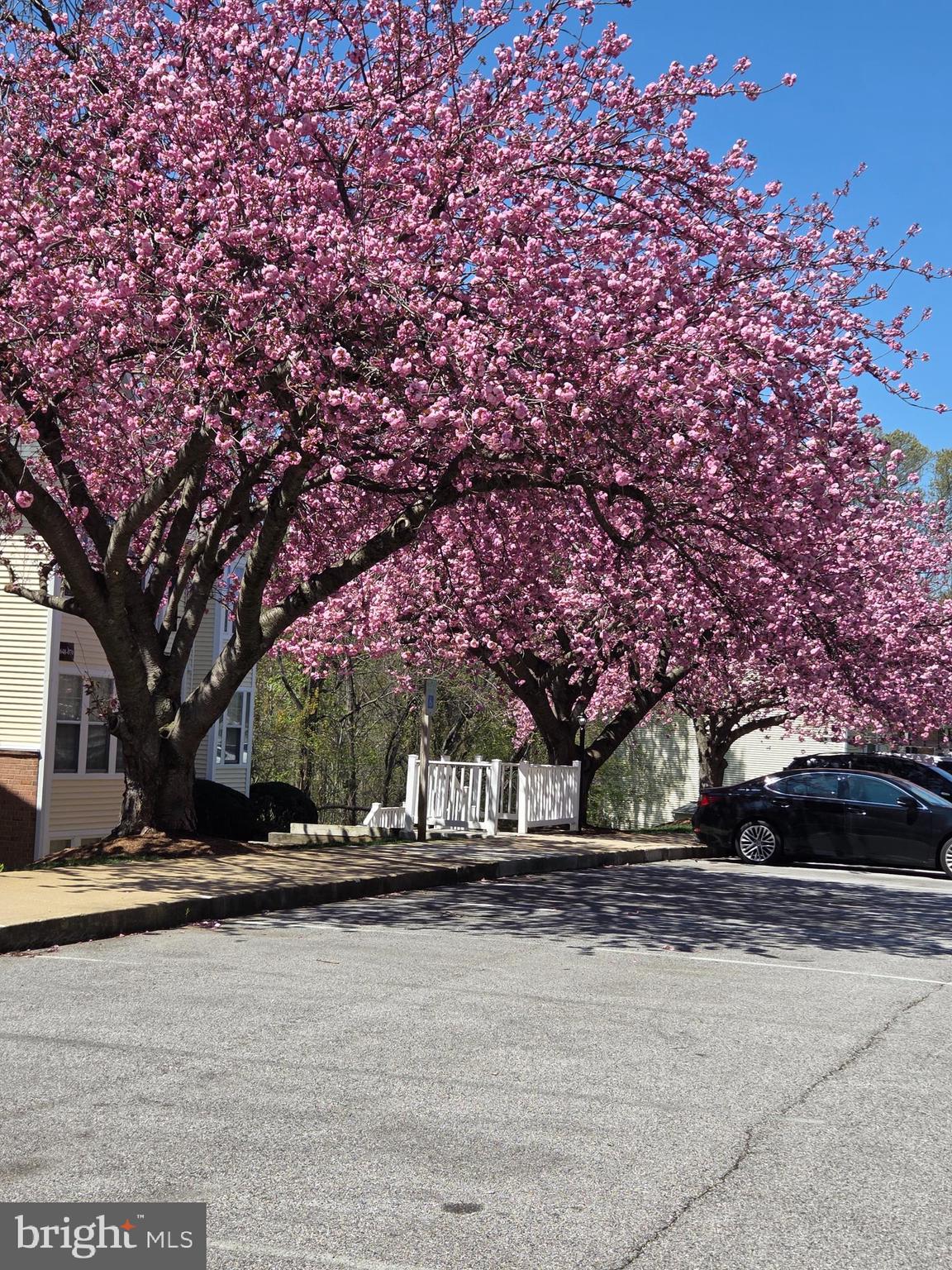 DORADO HILLS - Residential