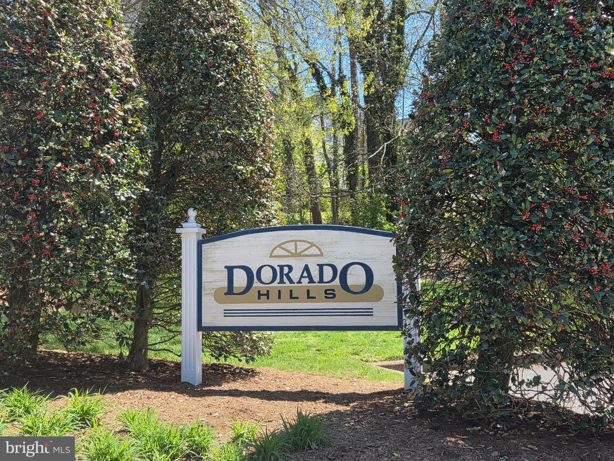DORADO HILLS - Residential