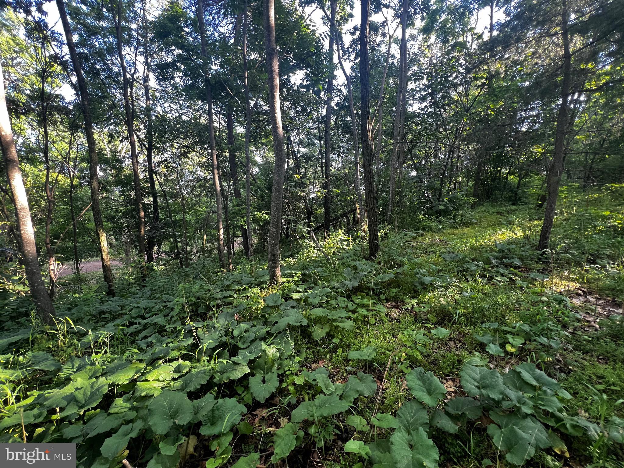Lot 52 GRACE MOUNTAIN