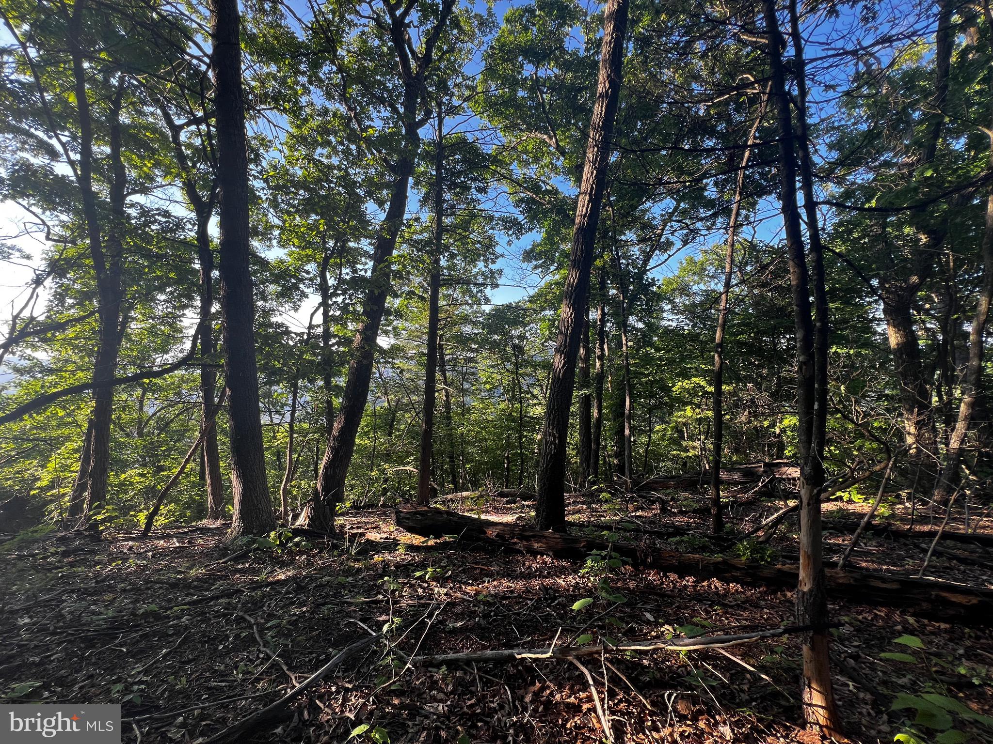 Lot 52 GRACE MOUNTAIN