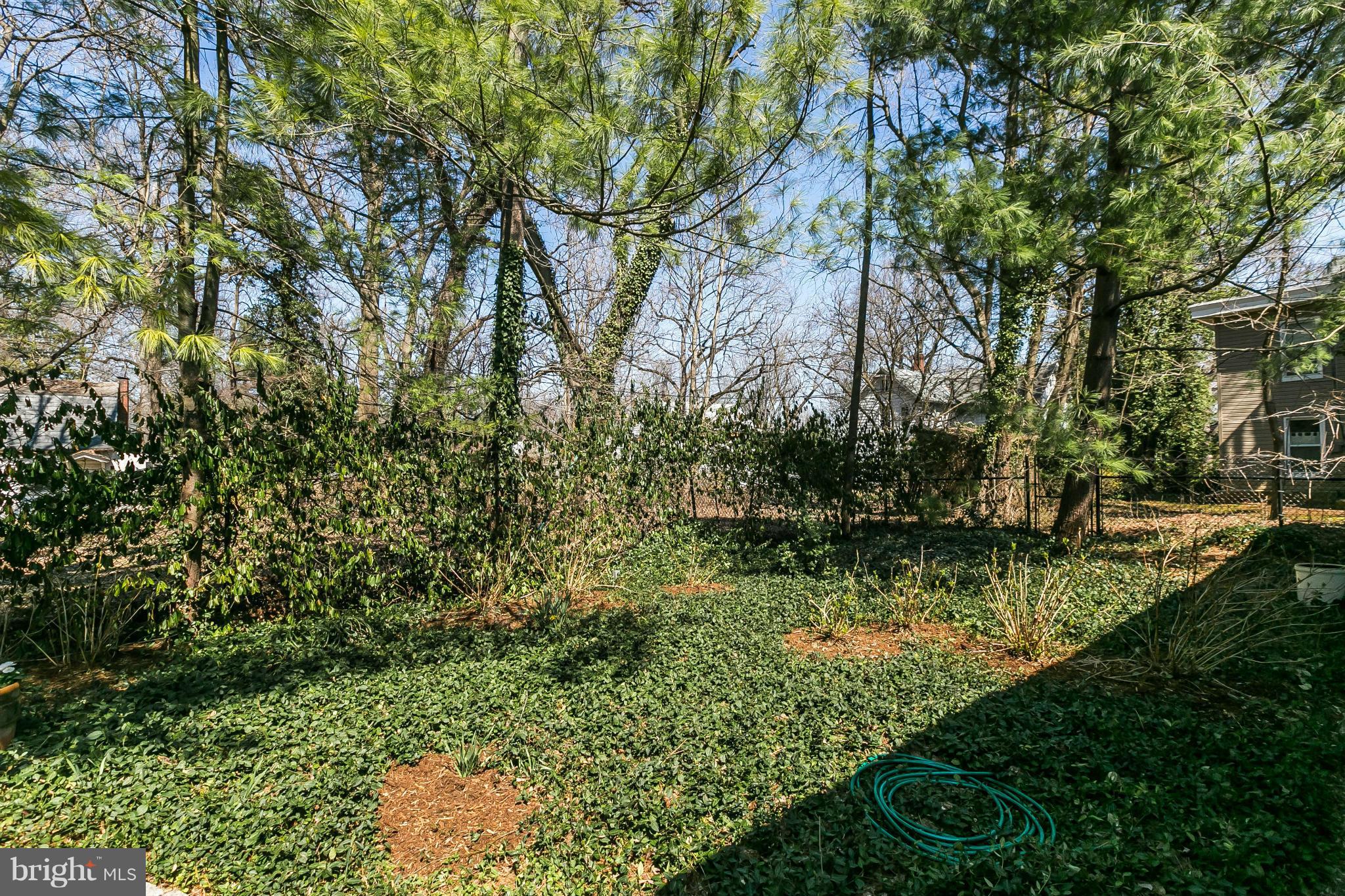 MOUNT WASHINGTON - Residential