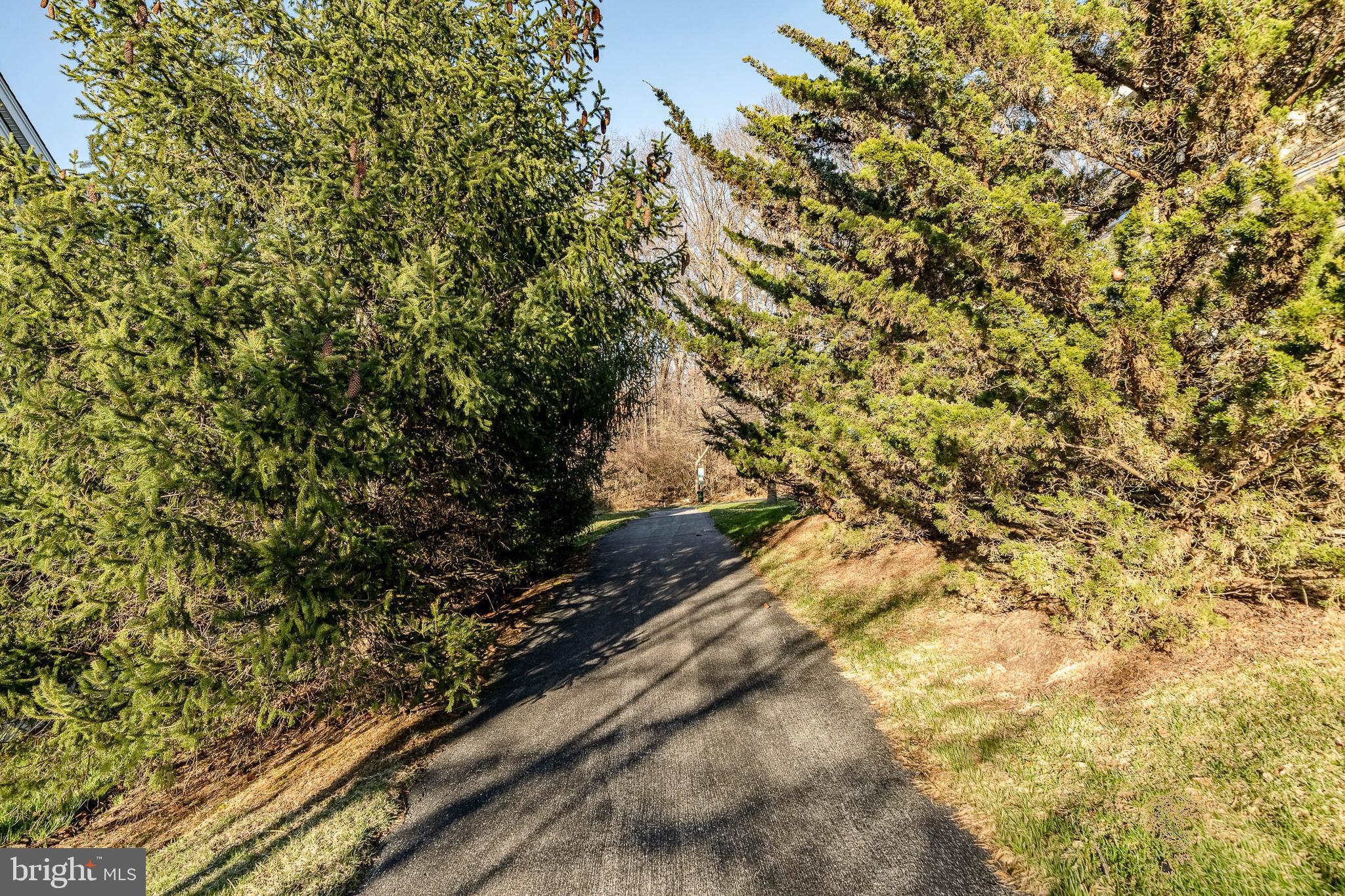 CHARLESTOWN MEADOWS - Residential