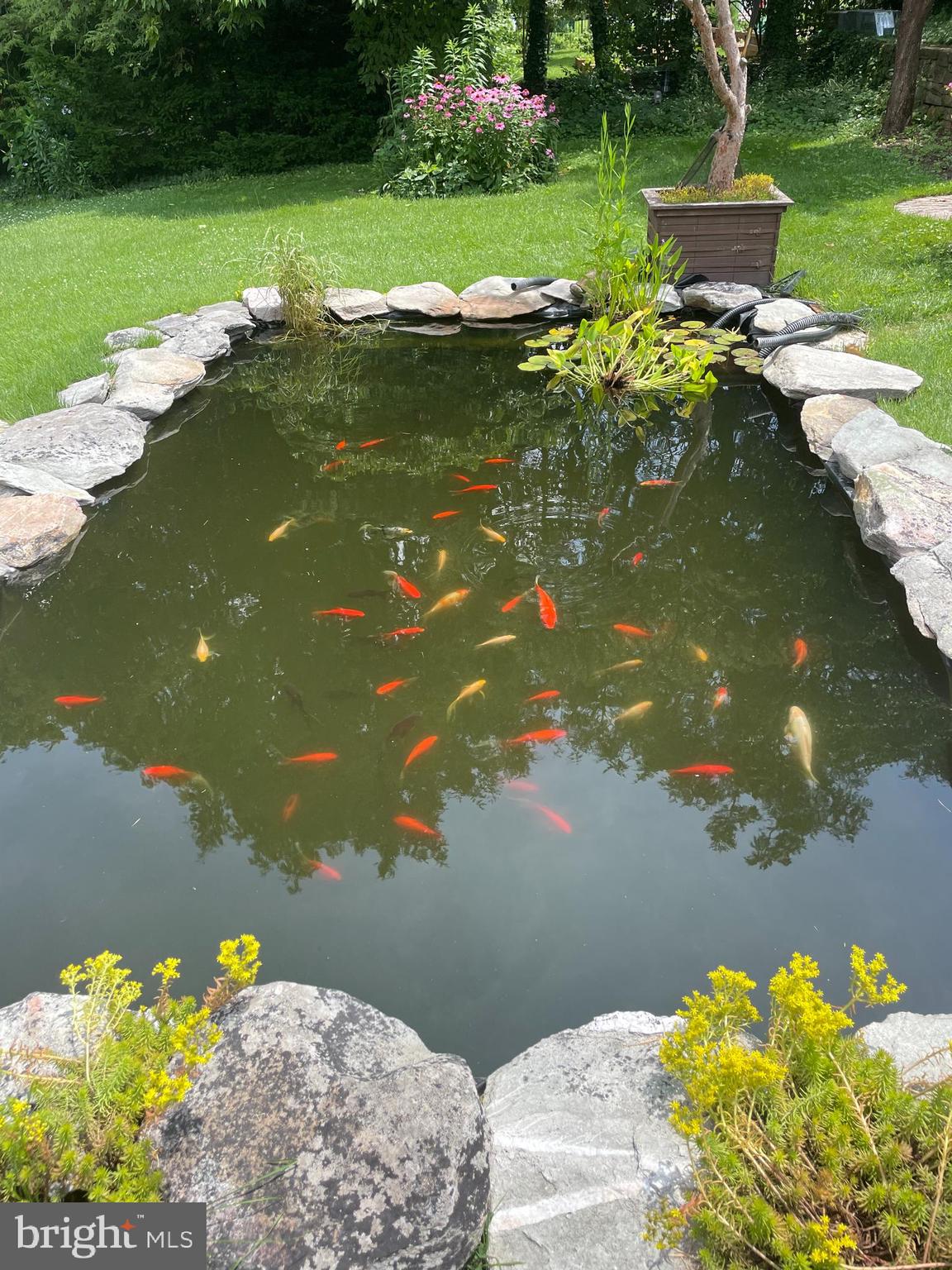 CLEARVIEW - Residential