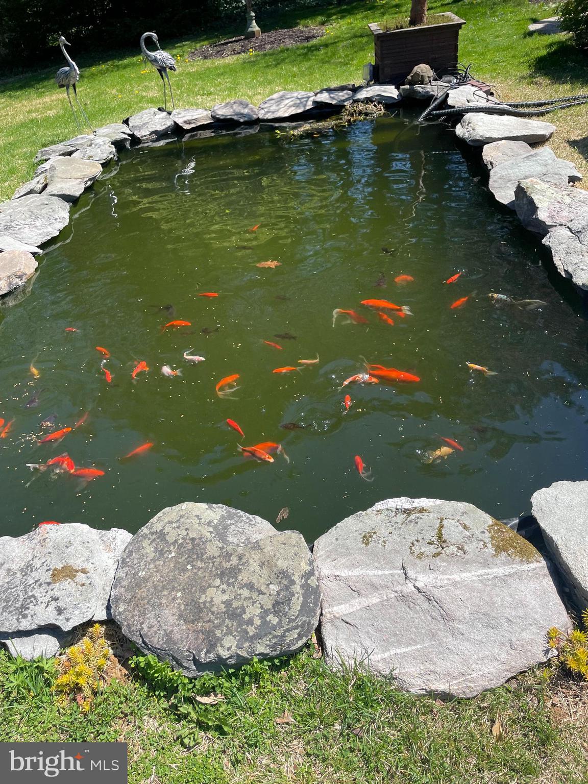 CLEARVIEW - Residential