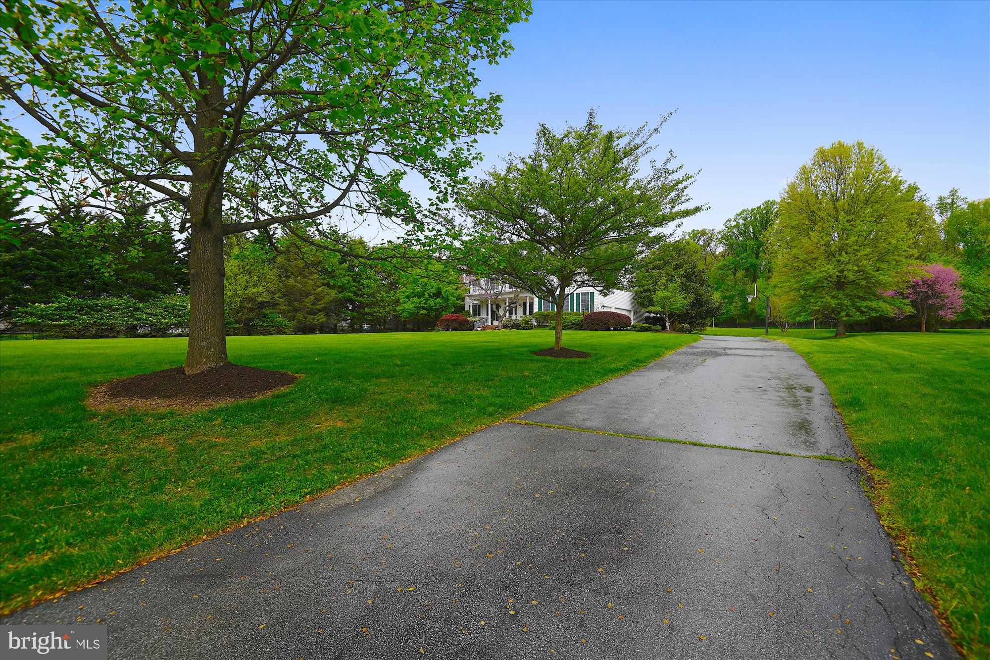 SHANEYBROOK FARMS - Residential