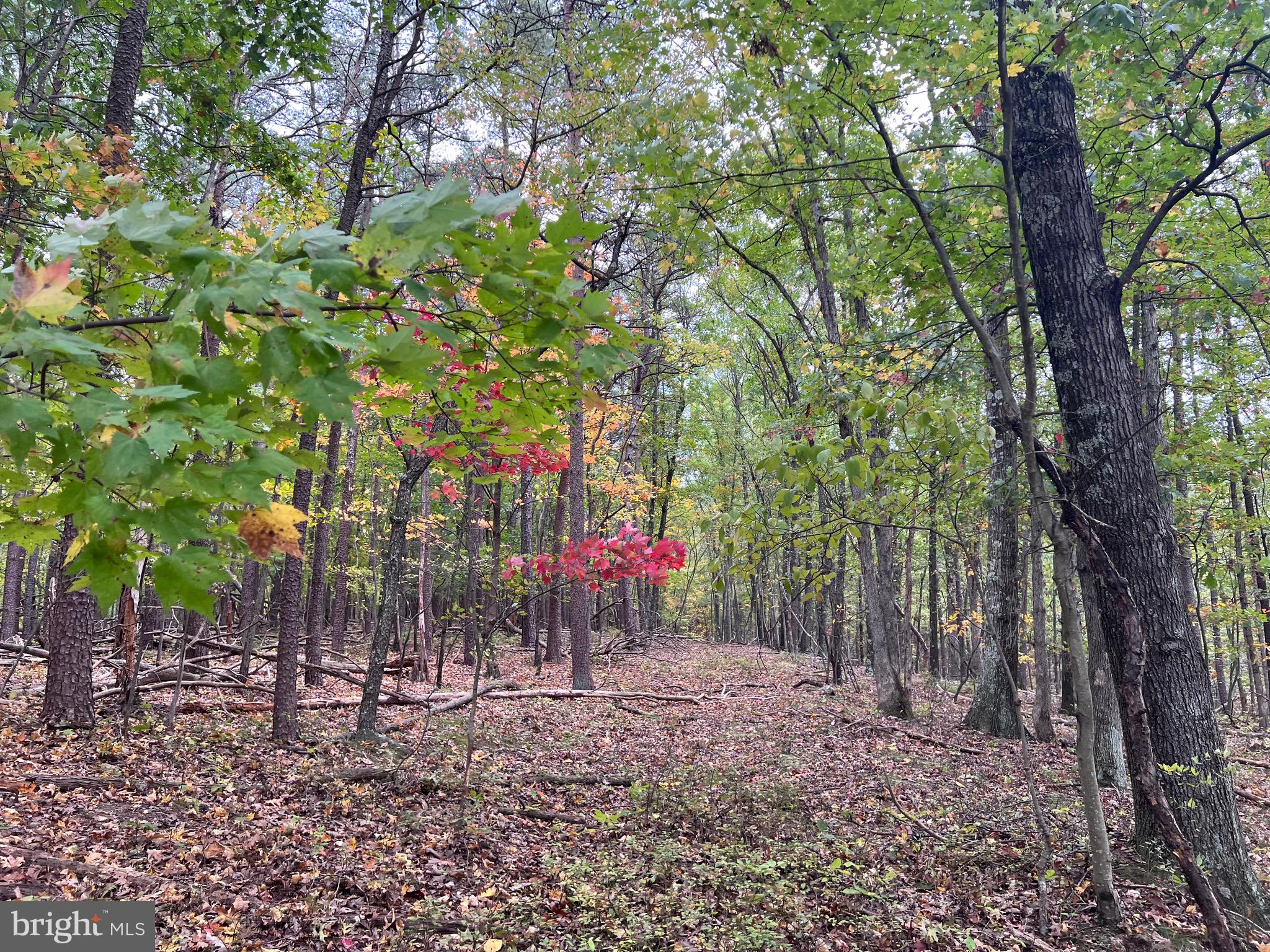 NONE AVAILABLE - Land