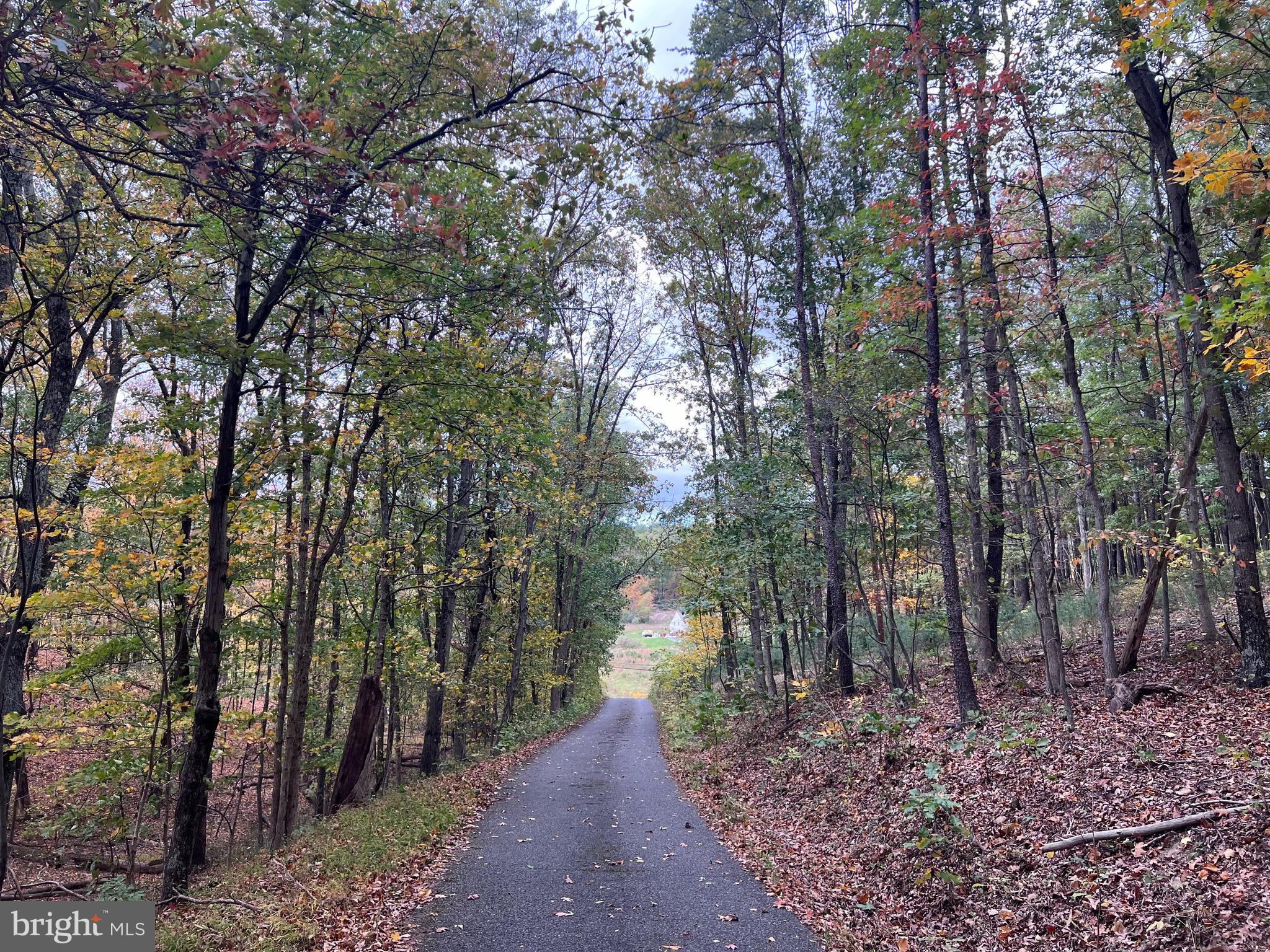 NONE AVAILABLE - Land