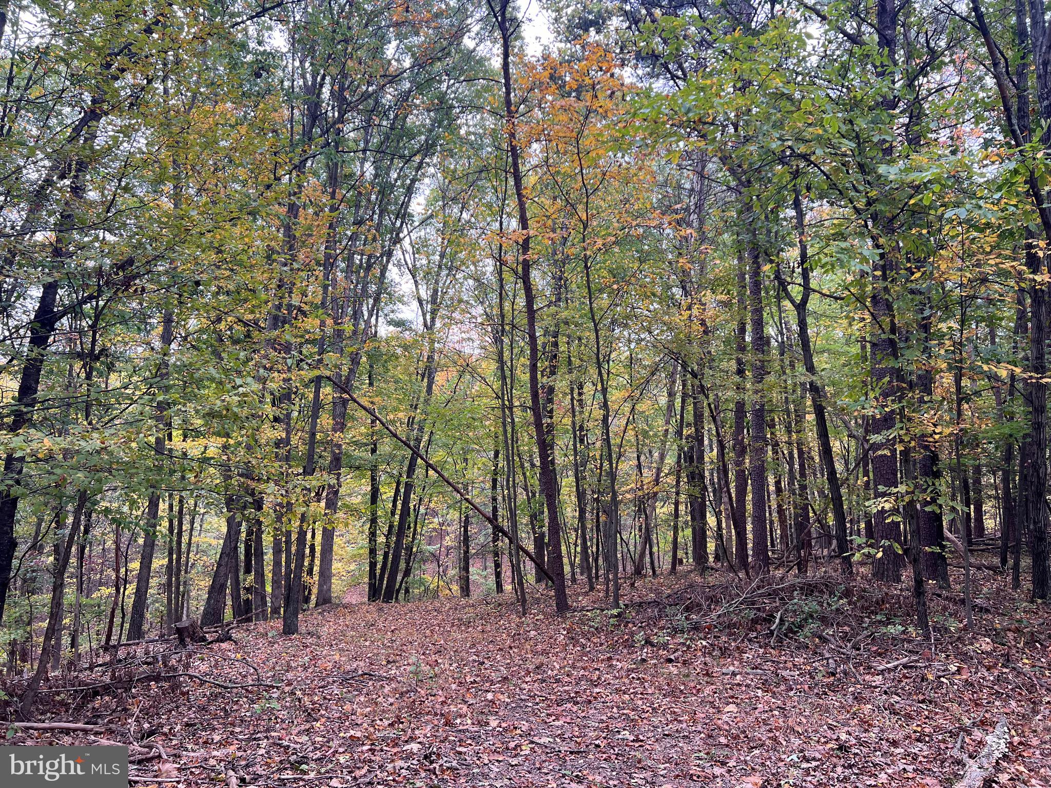 NONE AVAILABLE - Land