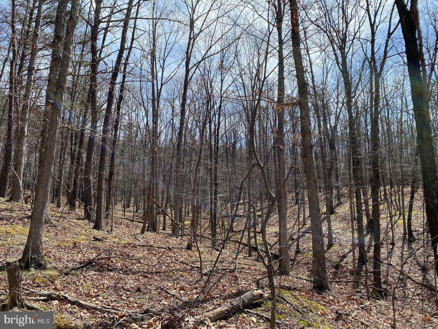 NONE AVAILABLE - Land