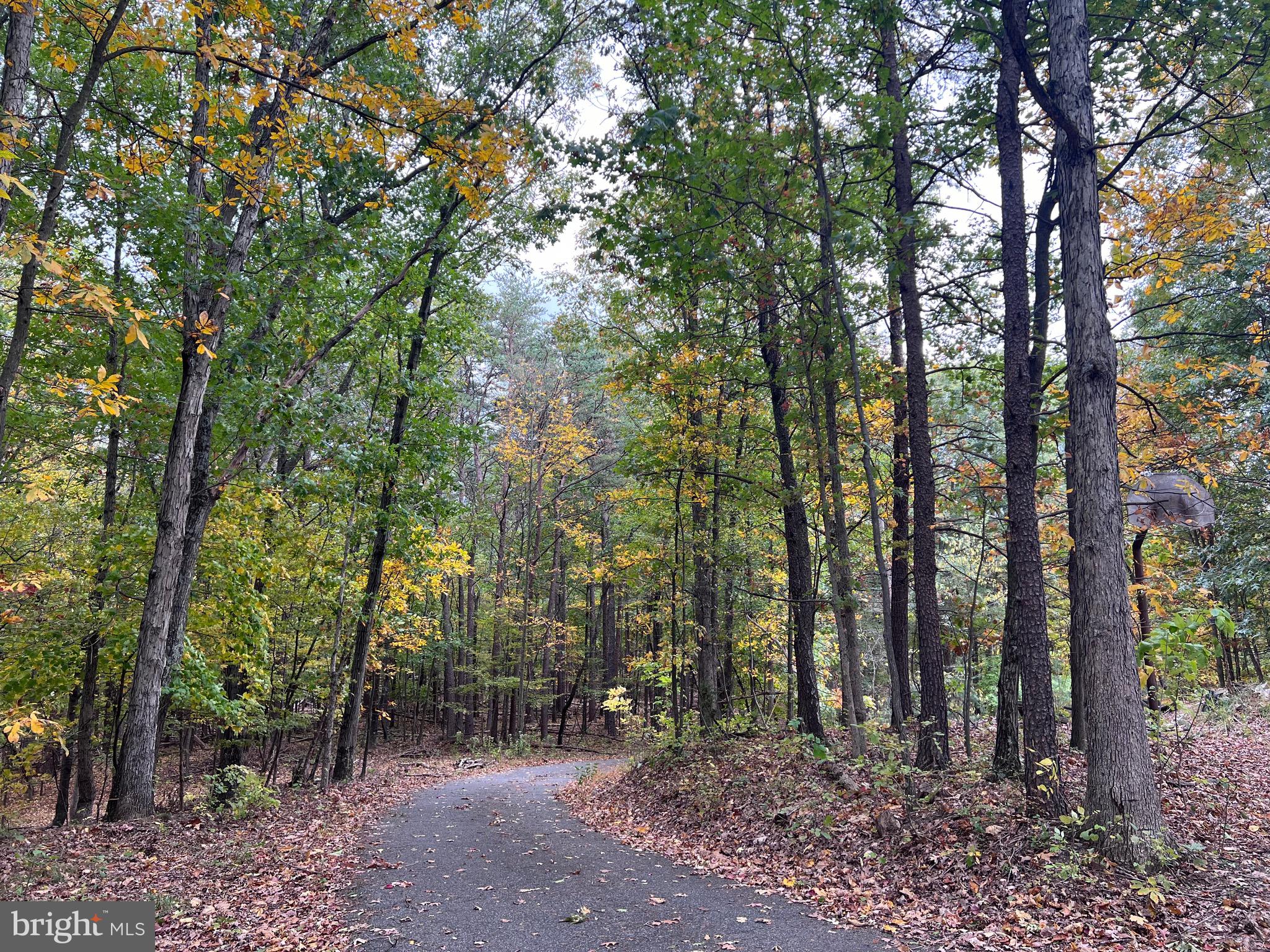 NONE AVAILABLE - Land