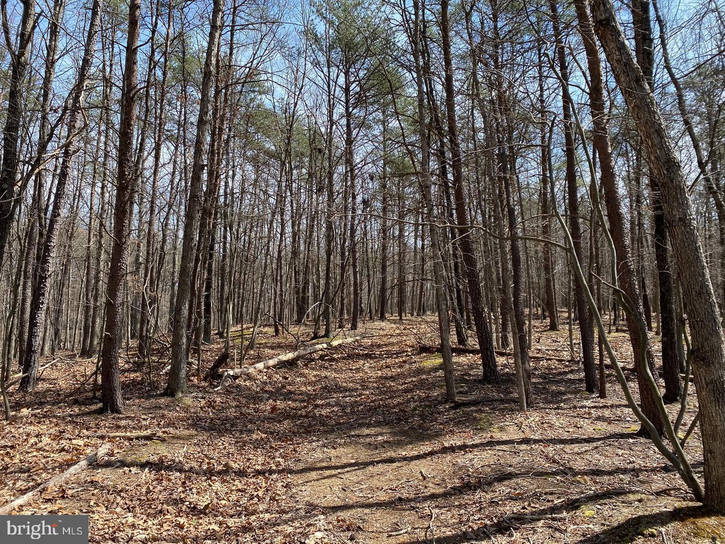 NONE AVAILABLE - Land