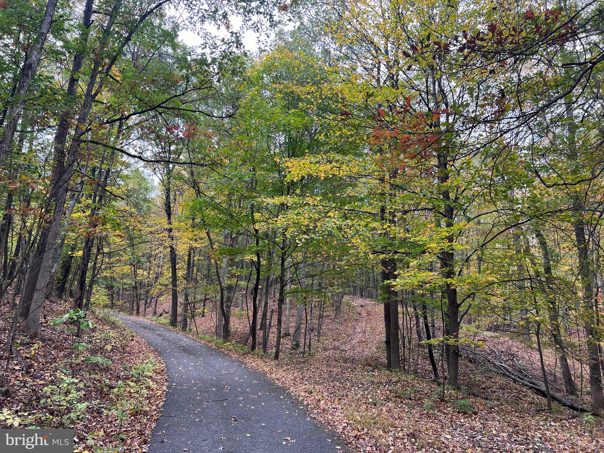 NONE AVAILABLE - Land