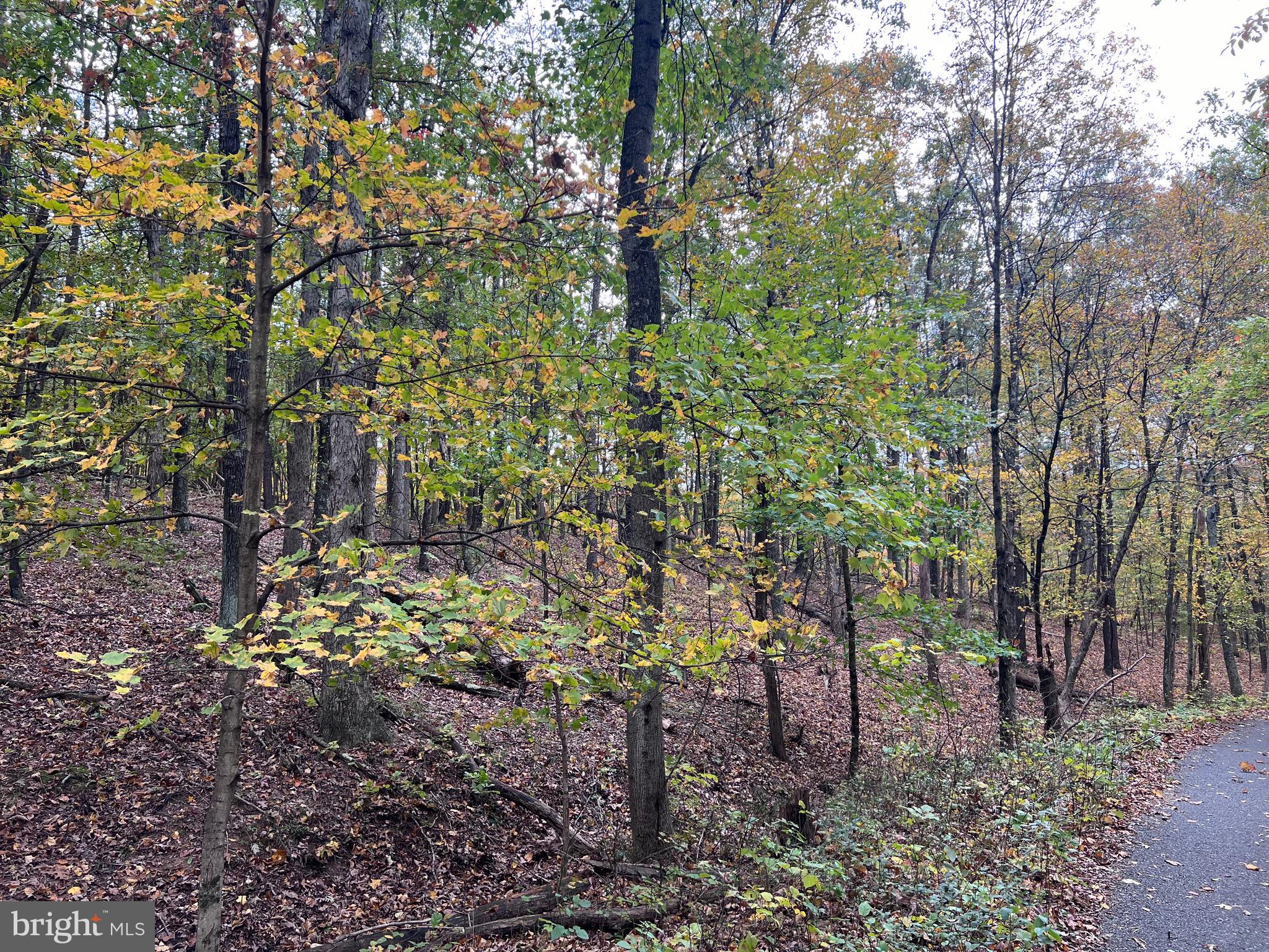 NONE AVAILABLE - Land