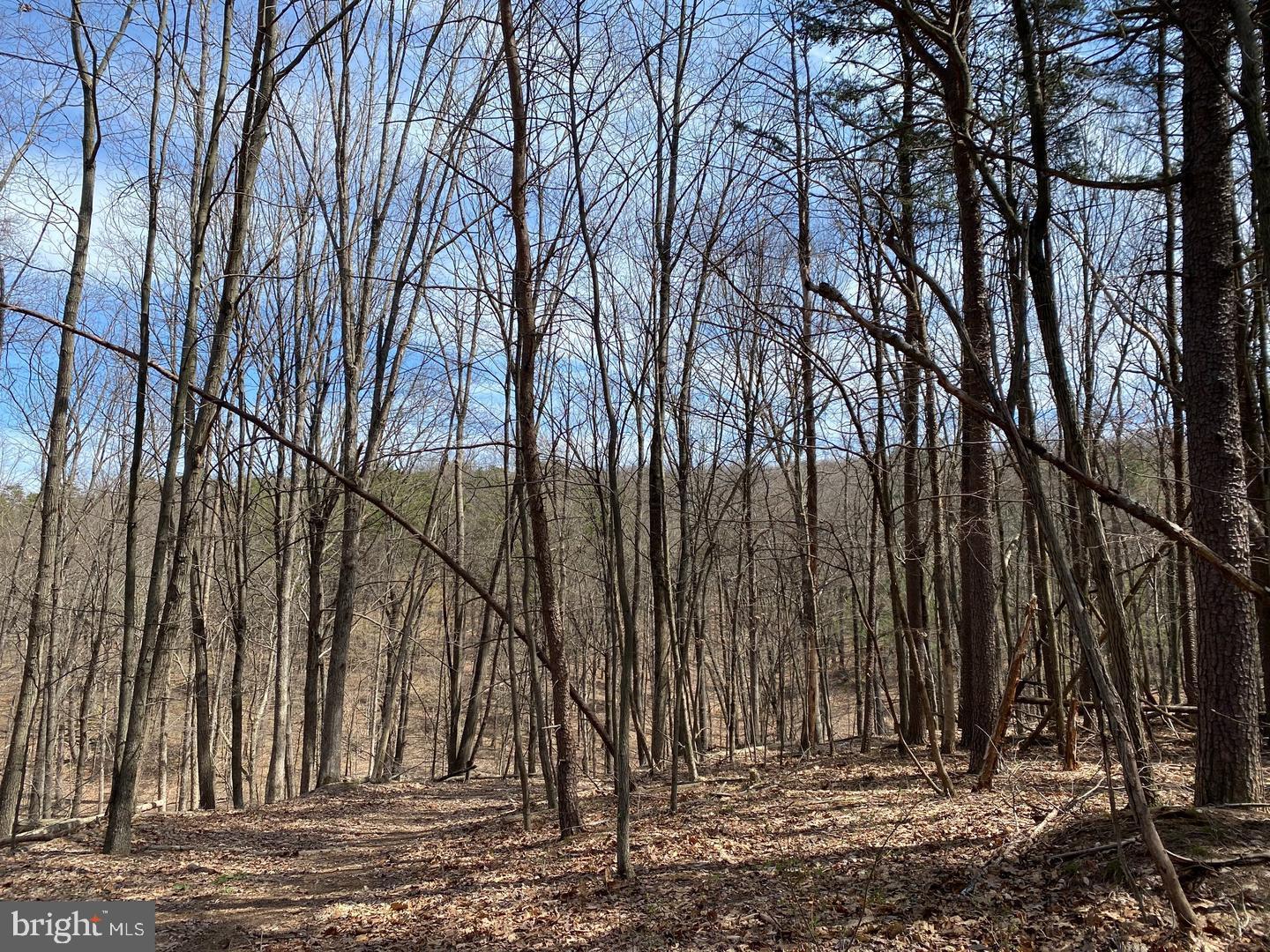 NONE AVAILABLE - Land