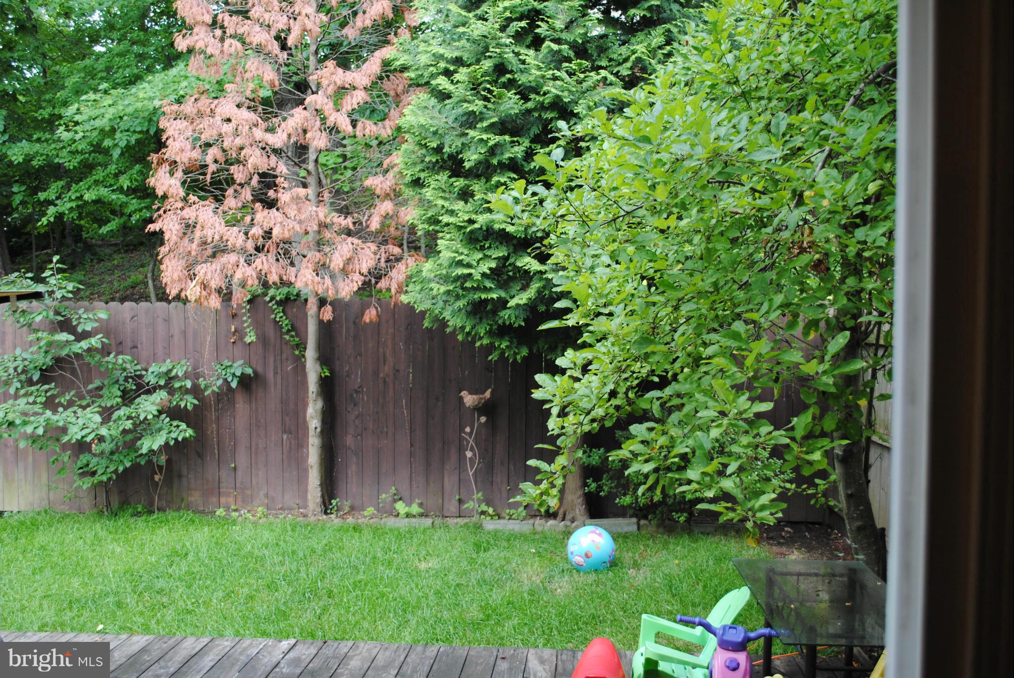 GEORGETOWN VILLAGE - Residential