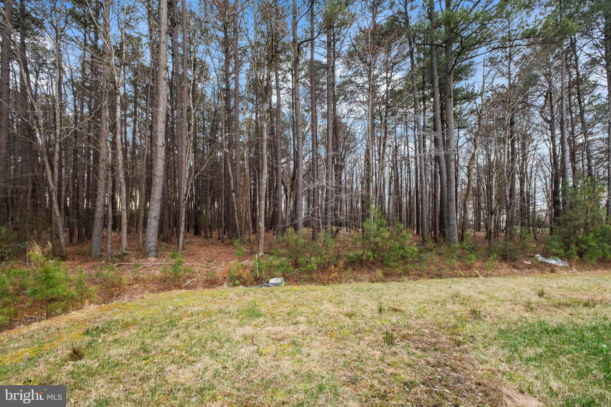 YORKSHIRE ESTATES - Residential