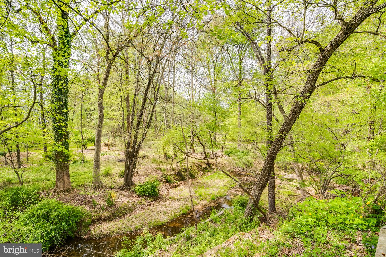 CASHELL WOODS - Residential