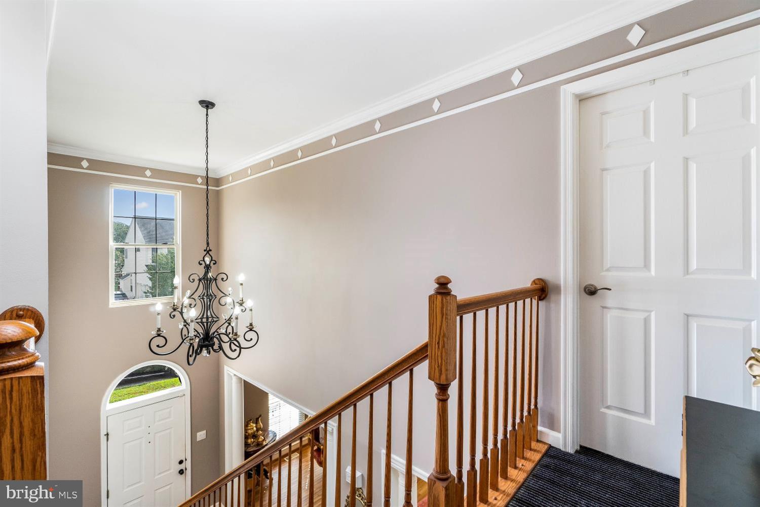 HOLTER - Residential