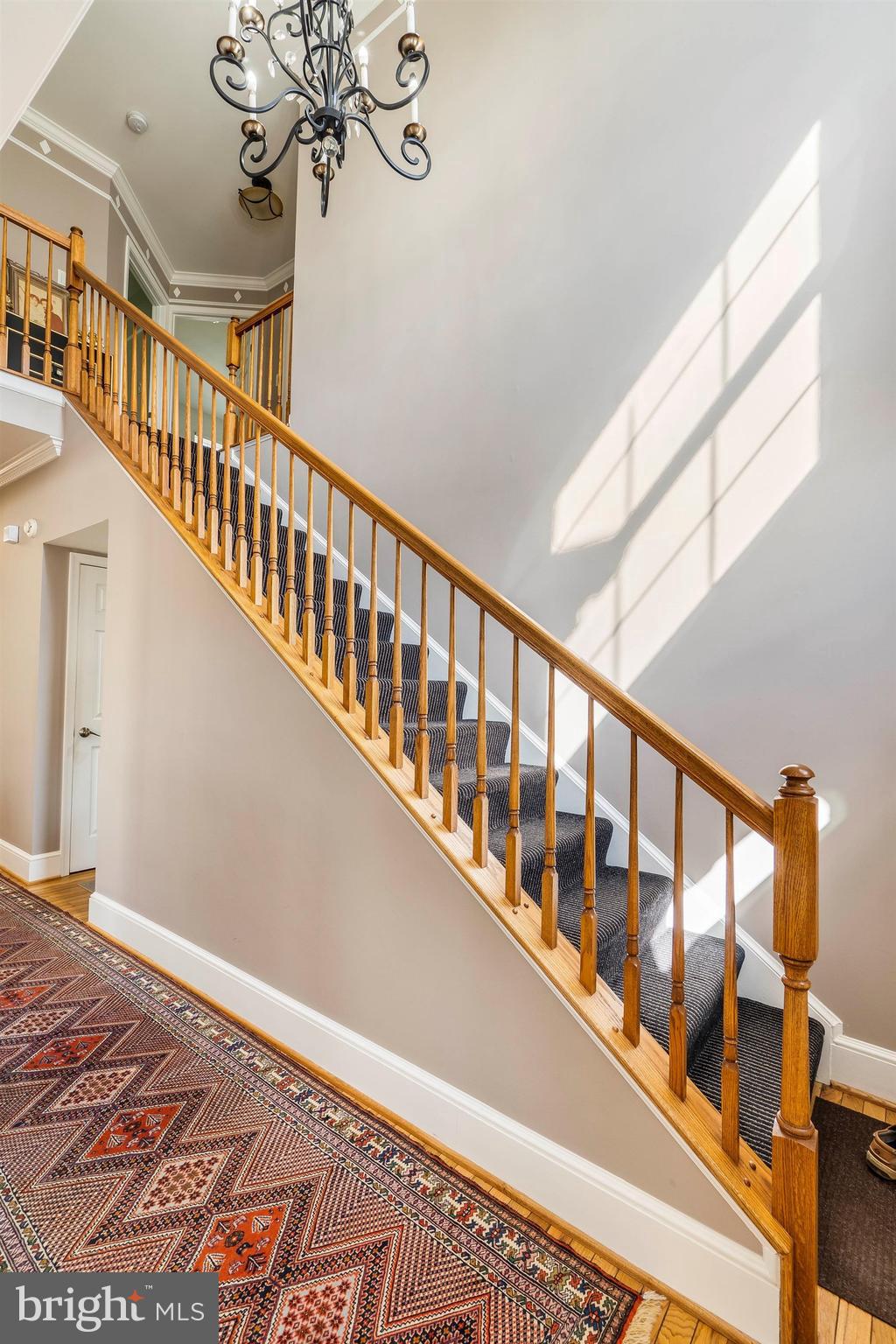 HOLTER - Residential