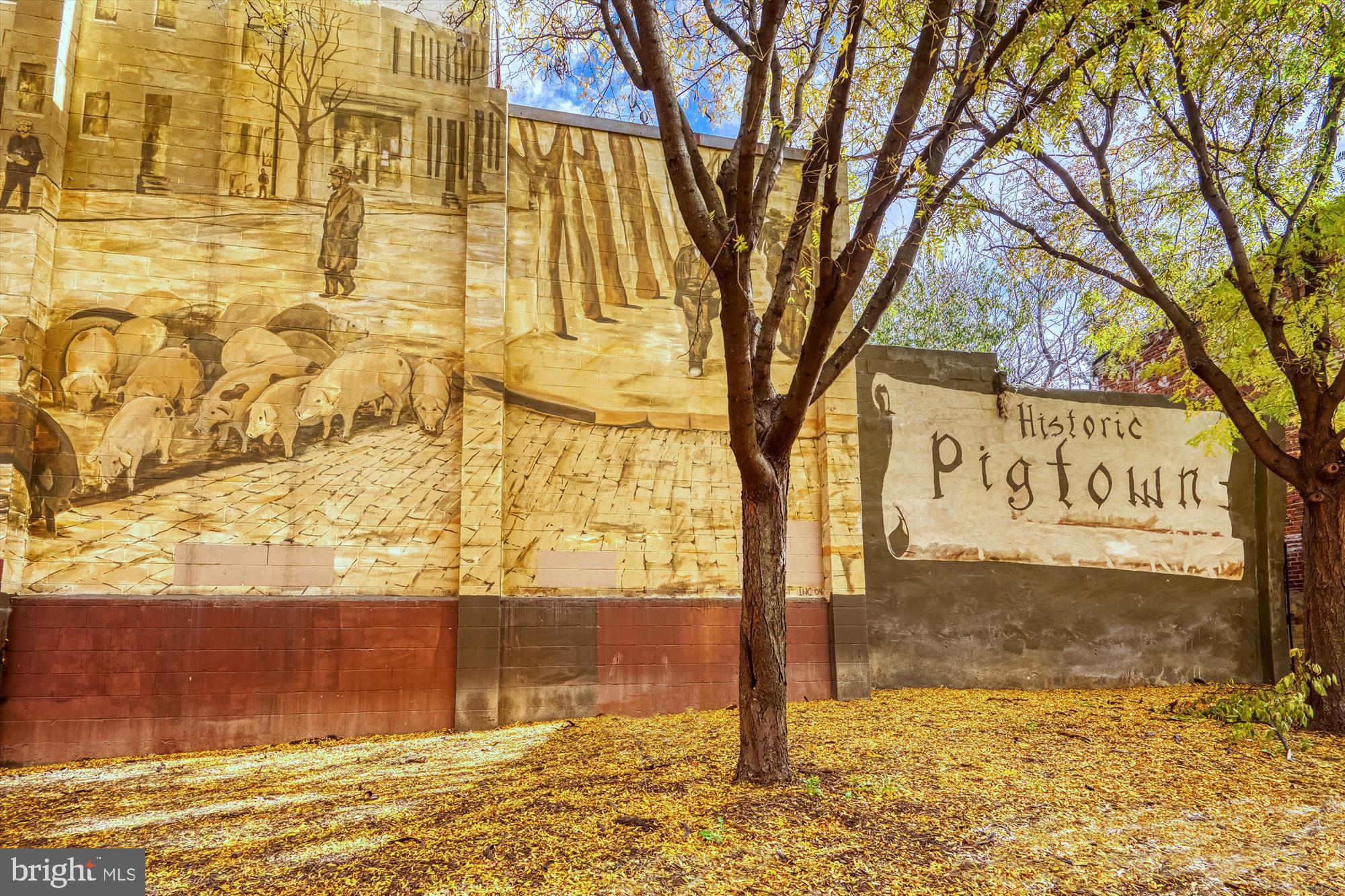 PIGTOWN HISTORIC DISTRICT - Residential