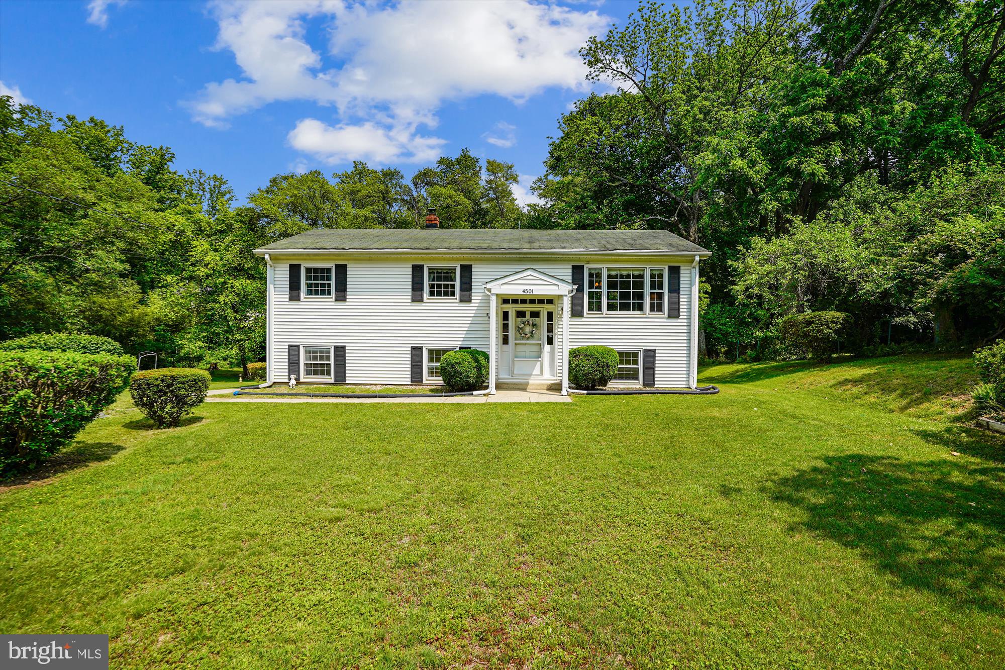 BRADDOCK ROAD - Residential