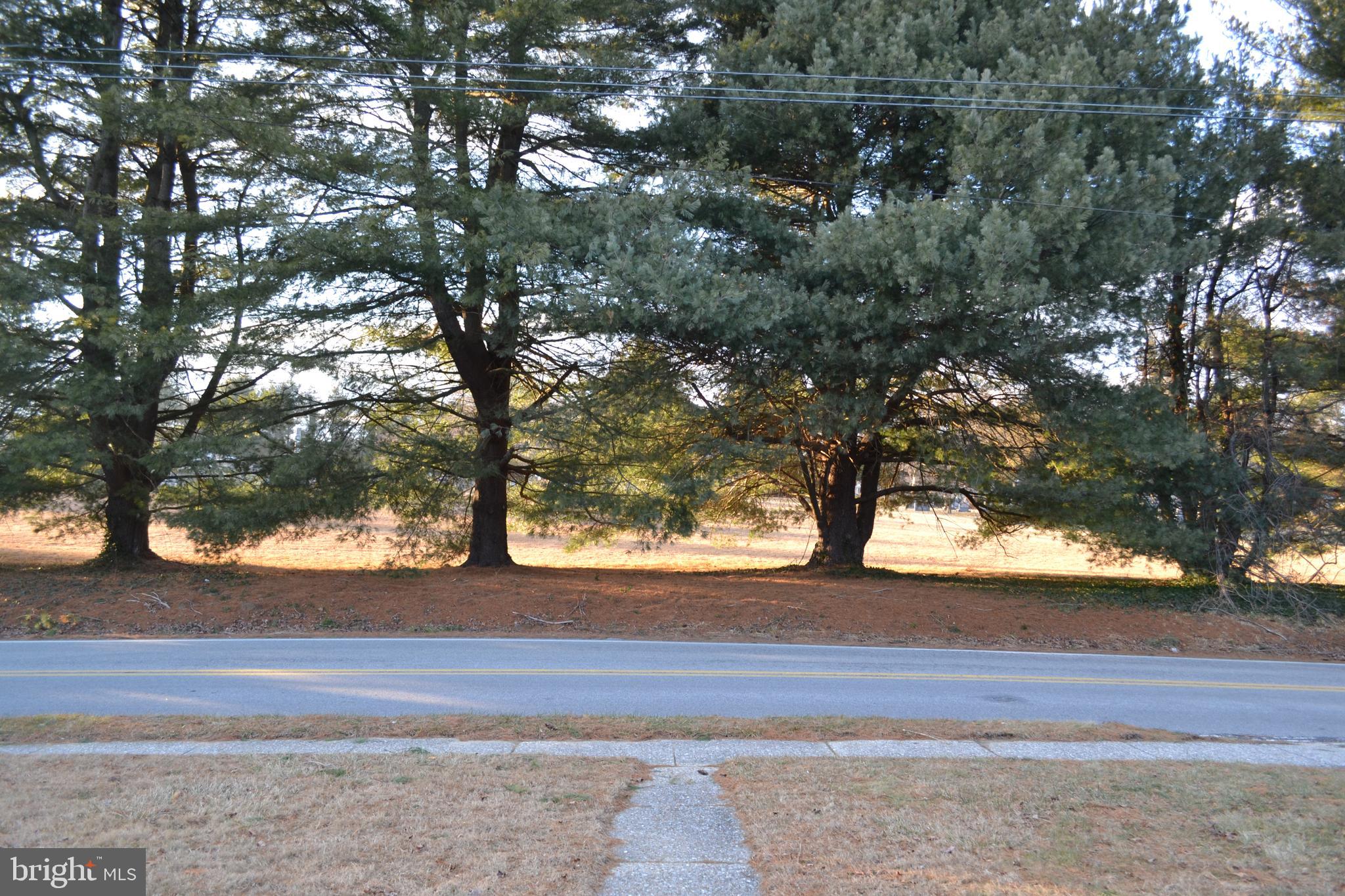 ROSE TREE WOODS - Residential