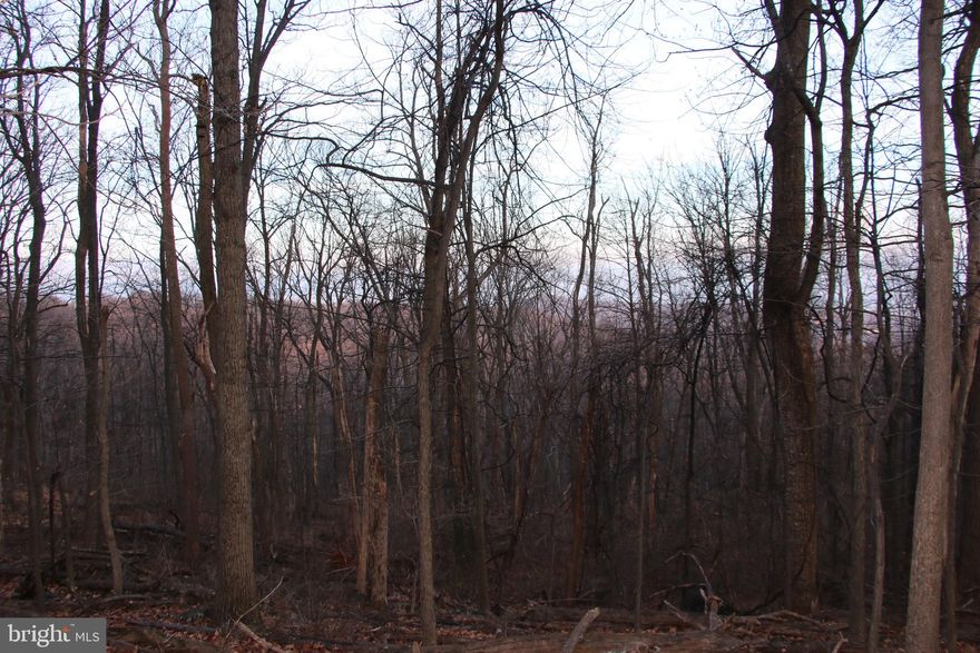 This beautiful lot is located east of Front Royal in the High Knob community. Terrific location for a permanent residence or weekend getaway. The soil work has already been completed and this lot is approved for a 2 bedroom septic system which could be upgraded to a 3 or 4 bedroom system with health department approval. Electricity is already running across the street making for an easy and affordable connection. Elite year round views are attainable with some tree clearing. Access is secured via road frontage on Windy Way. This lot is zoned Residential and the topography ranges from mild to steep. Residents and their guests enjoy access to the swimming pool and clubhouse! Excellent commuter location with proximity to Interstate 66 and northern Virginia. All the fun and adventure of the Shenandoah National Park are only a few miles away also.