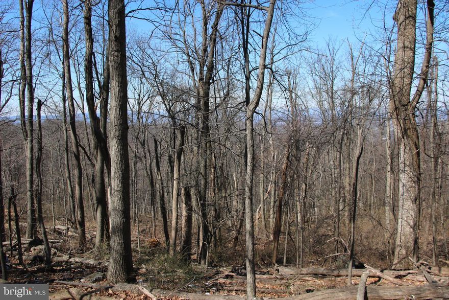 This beautiful lot is located east of Front Royal in the High Knob community. Terrific location for a permanent residence or weekend getaway. The soil work has already been completed and this lot is approved for a 2 bedroom septic system which could be upgraded to a 3 or 4 bedroom system with health department approval. Electricity is already running across the street making for an easy and affordable connection. Elite year round views are attainable with some tree clearing. Access is secured via road frontage on Windy Way. This lot is zoned Residential and the topography ranges from mild to steep. Residents and their guests enjoy access to the swimming pool and clubhouse! Excellent commuter location with proximity to Interstate 66 and northern Virginia. All the fun and adventure of the Shenandoah National Park are only a few miles away also.