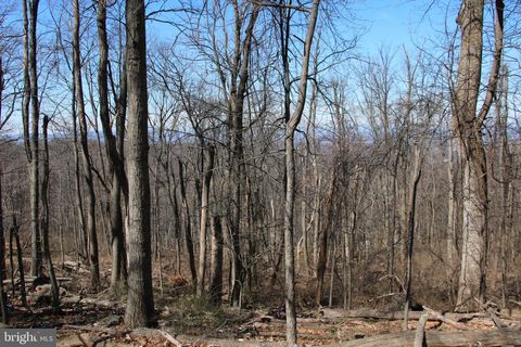 Vacant Land For Sale - Windy Way<br/> FRONT ROYAL, VA 22630