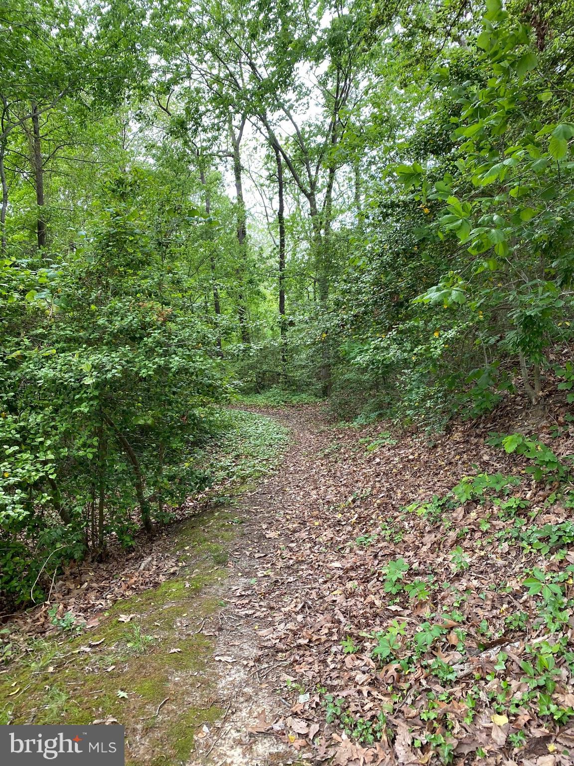 SCOTCH POINT - Residential