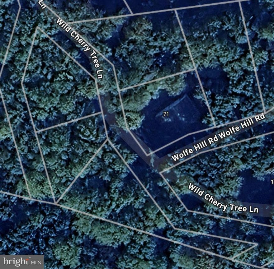 3 parcels already combined into one .71 acre lot (approx. 31,208 sq feet) Parcels 36, 37, 38