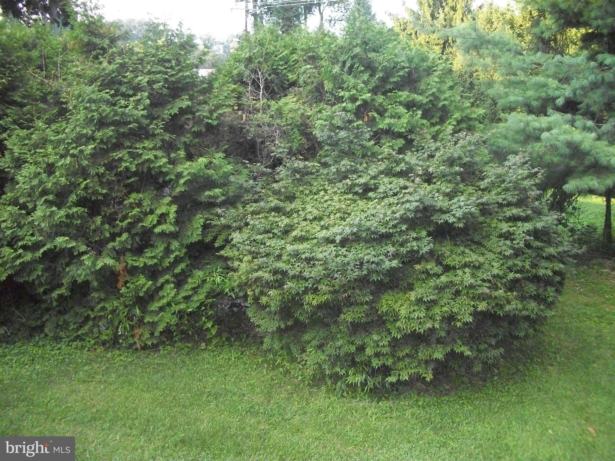 MORGAN PARK - Residential