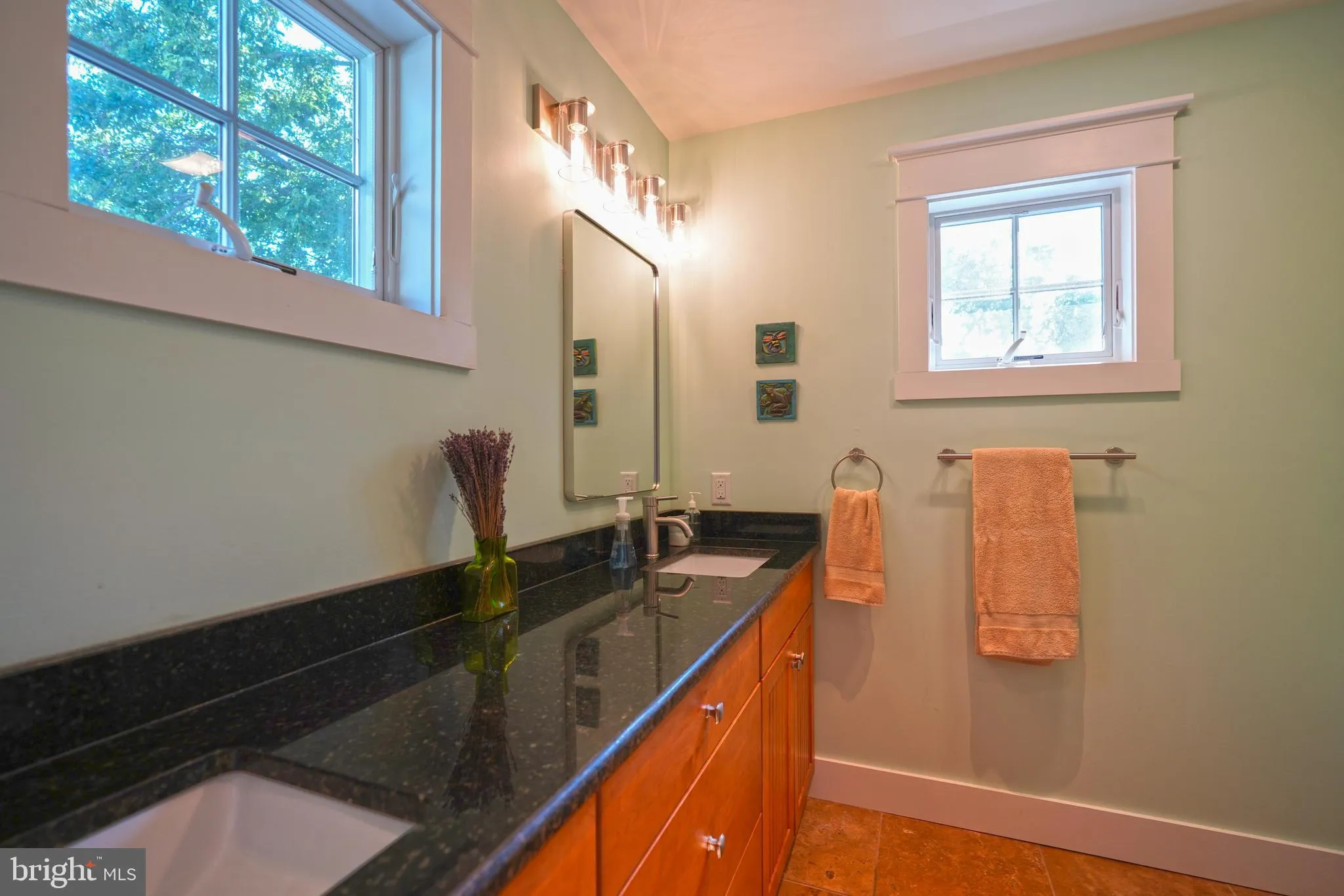 Lewes, Delaware 19958, United States, 3 Bedrooms Bedrooms, ,4 BathroomsBathrooms,Residential,Active,207252