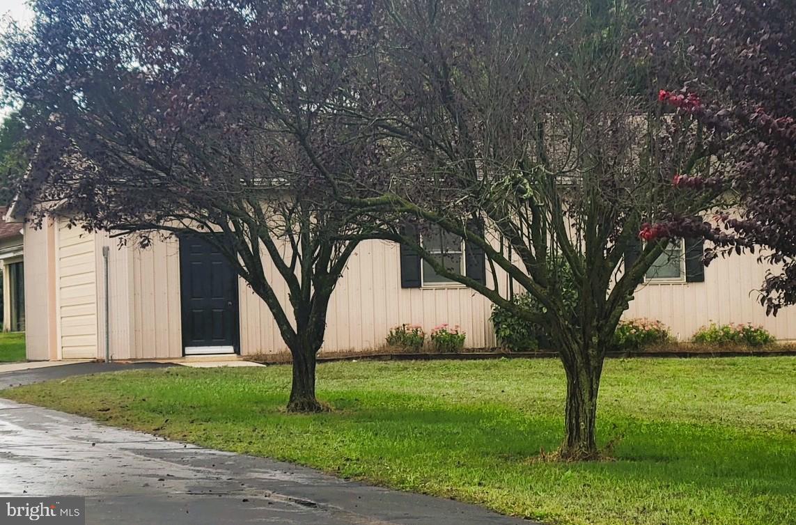 344 WOODRUFF ROAD