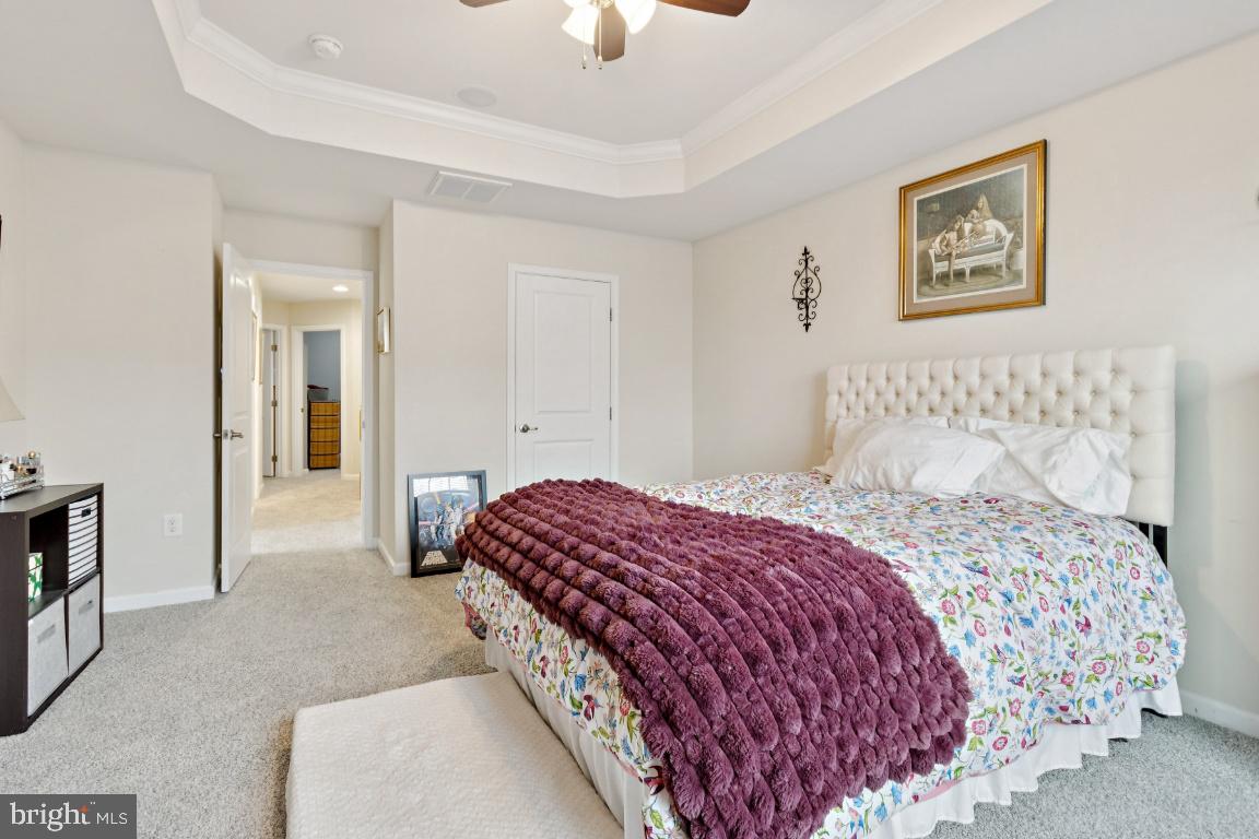 MINTBROOK - Residential