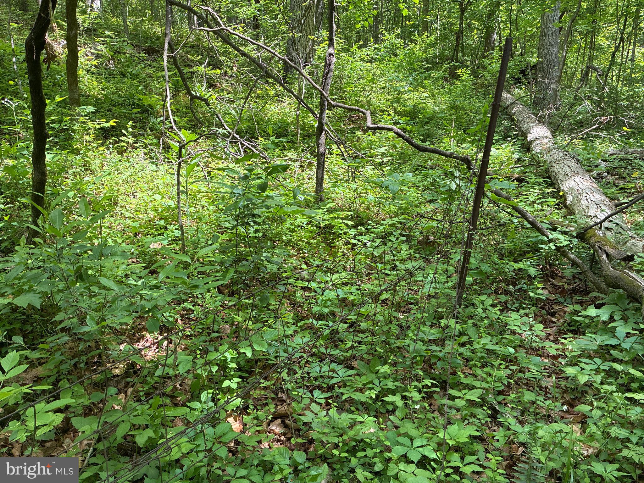 Lot 2 BEYLORS FERRY