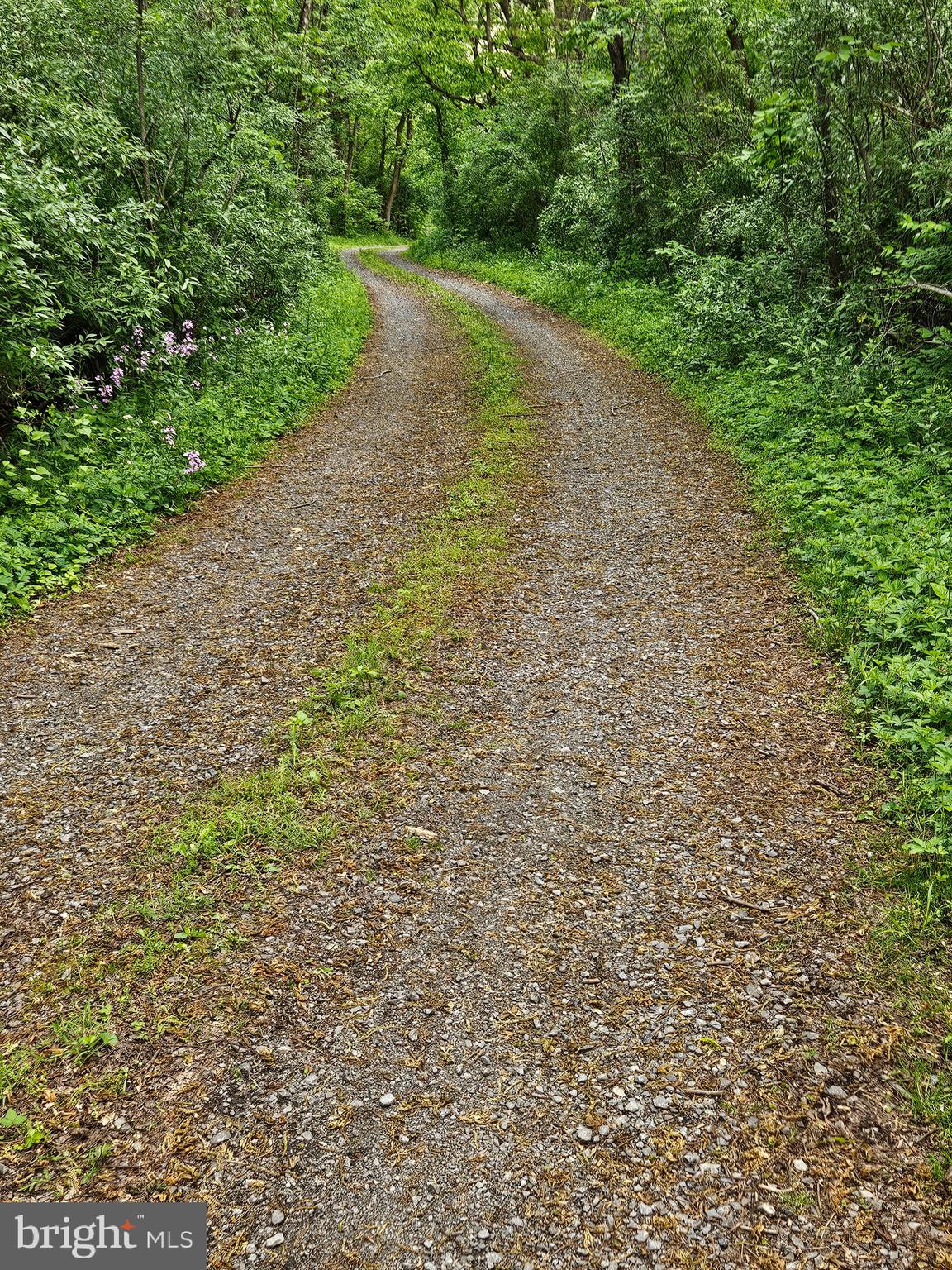 Lot 2 BEYLORS FERRY