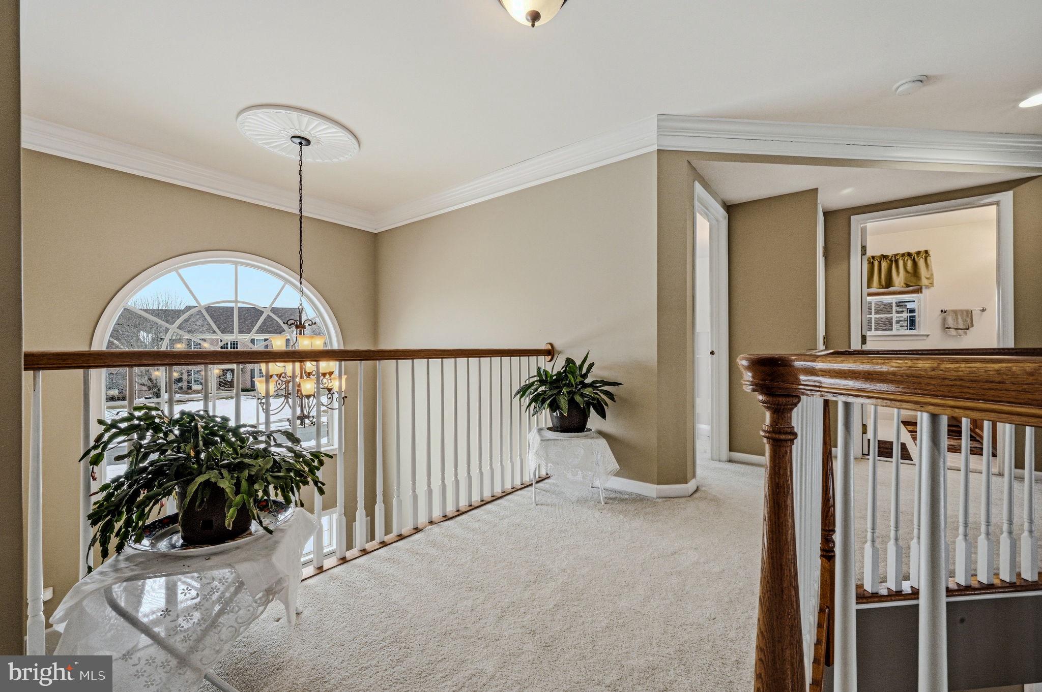 RED LION CHASE - Residential