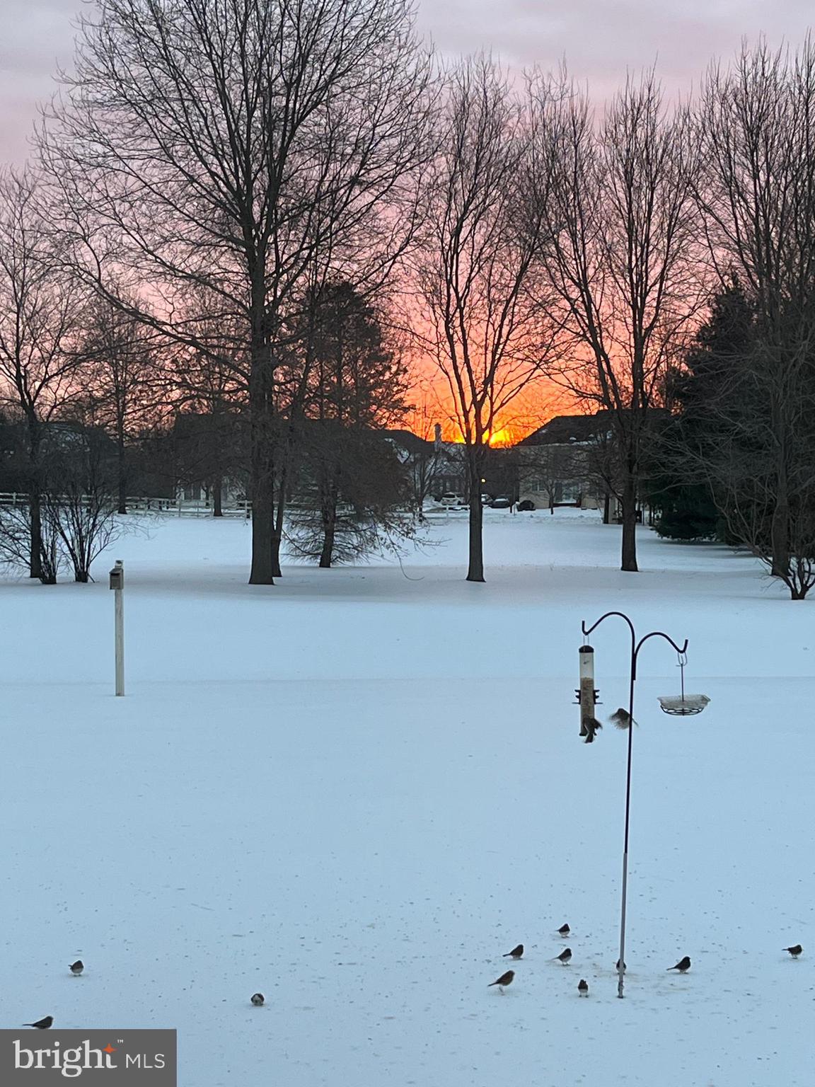 RED LION CHASE - Residential