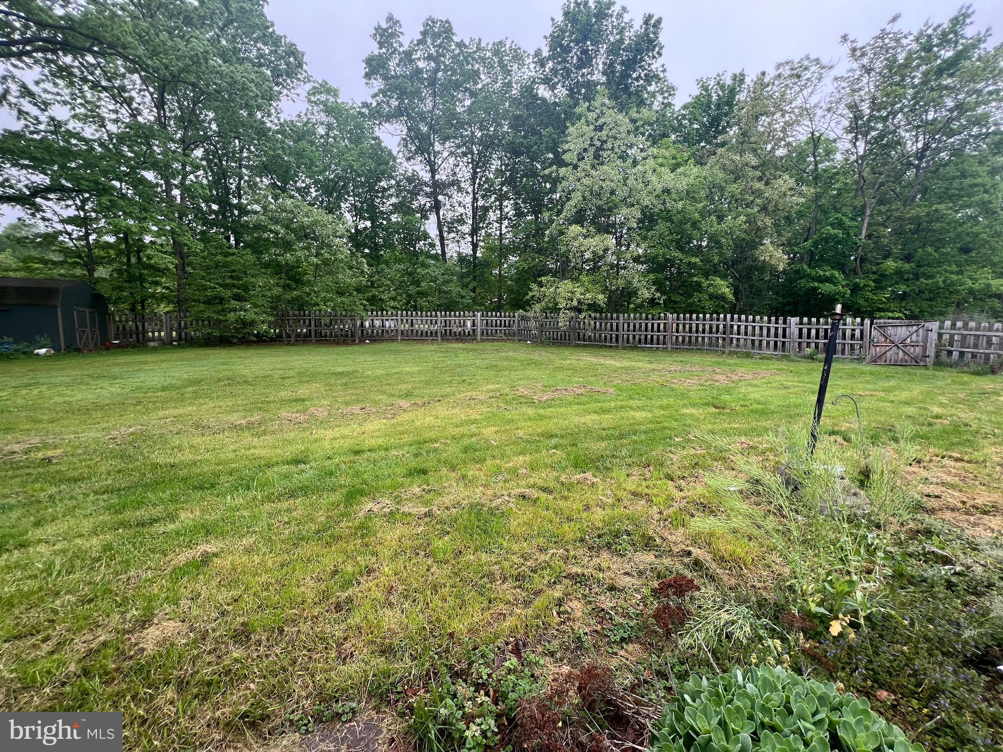 KNOBLEY RD - Residential